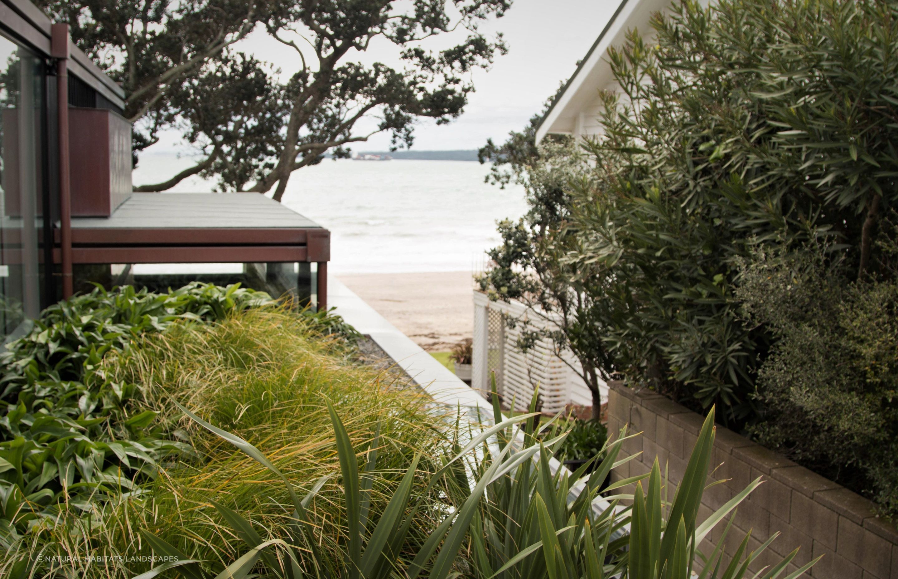 Takapuna Green Roof