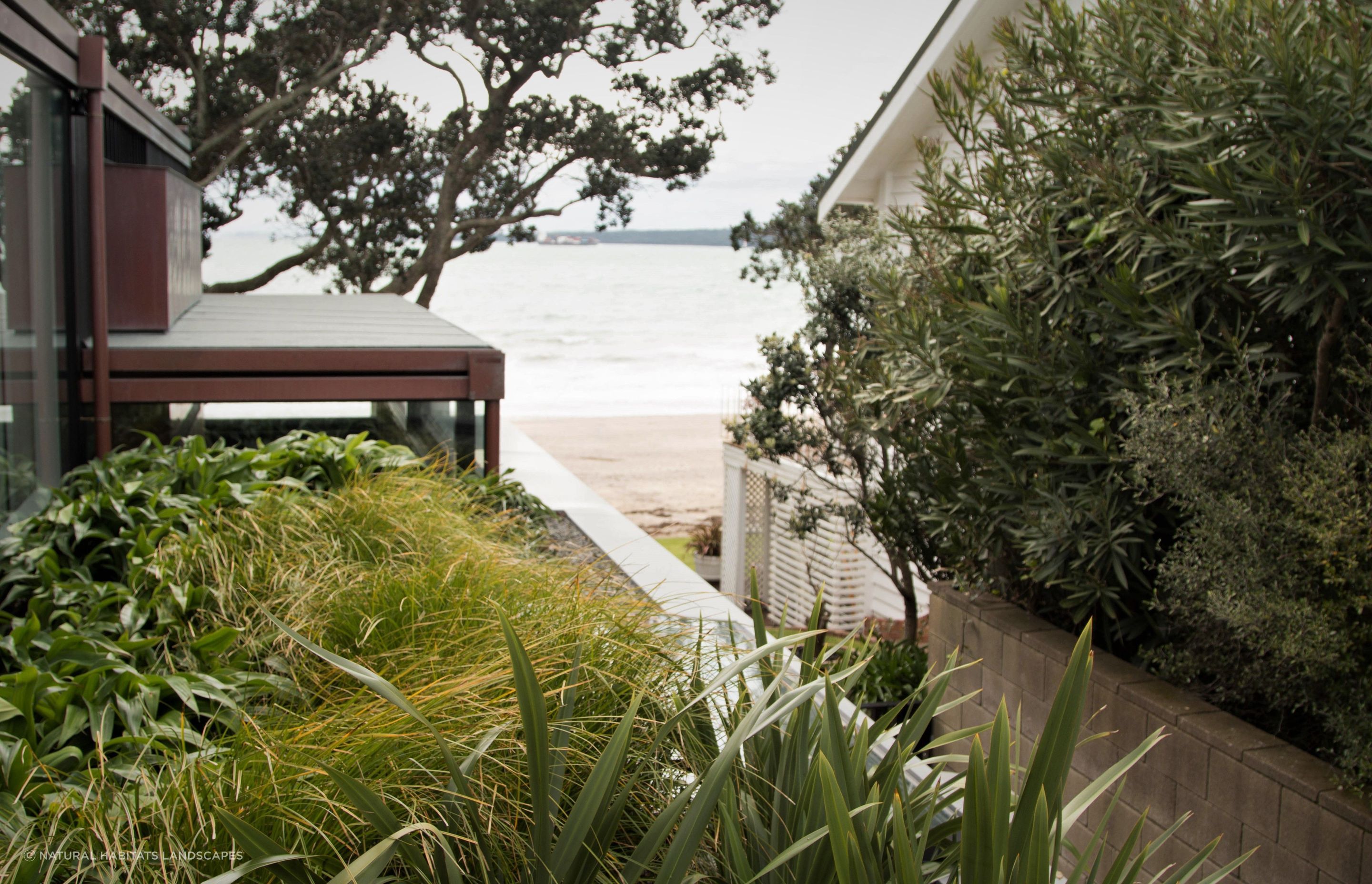 Takapuna Green Roof