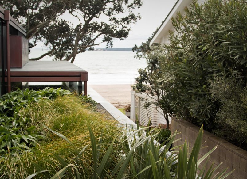 Takapuna Coastal Cocoon