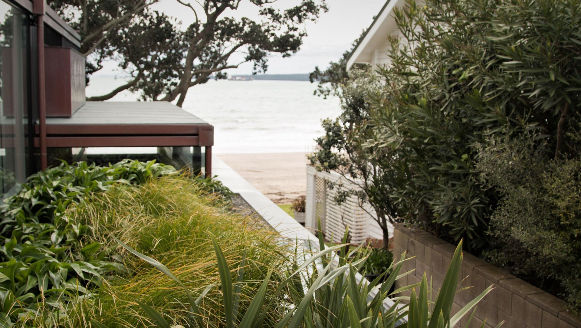 Takapuna Coastal Cocoon banner