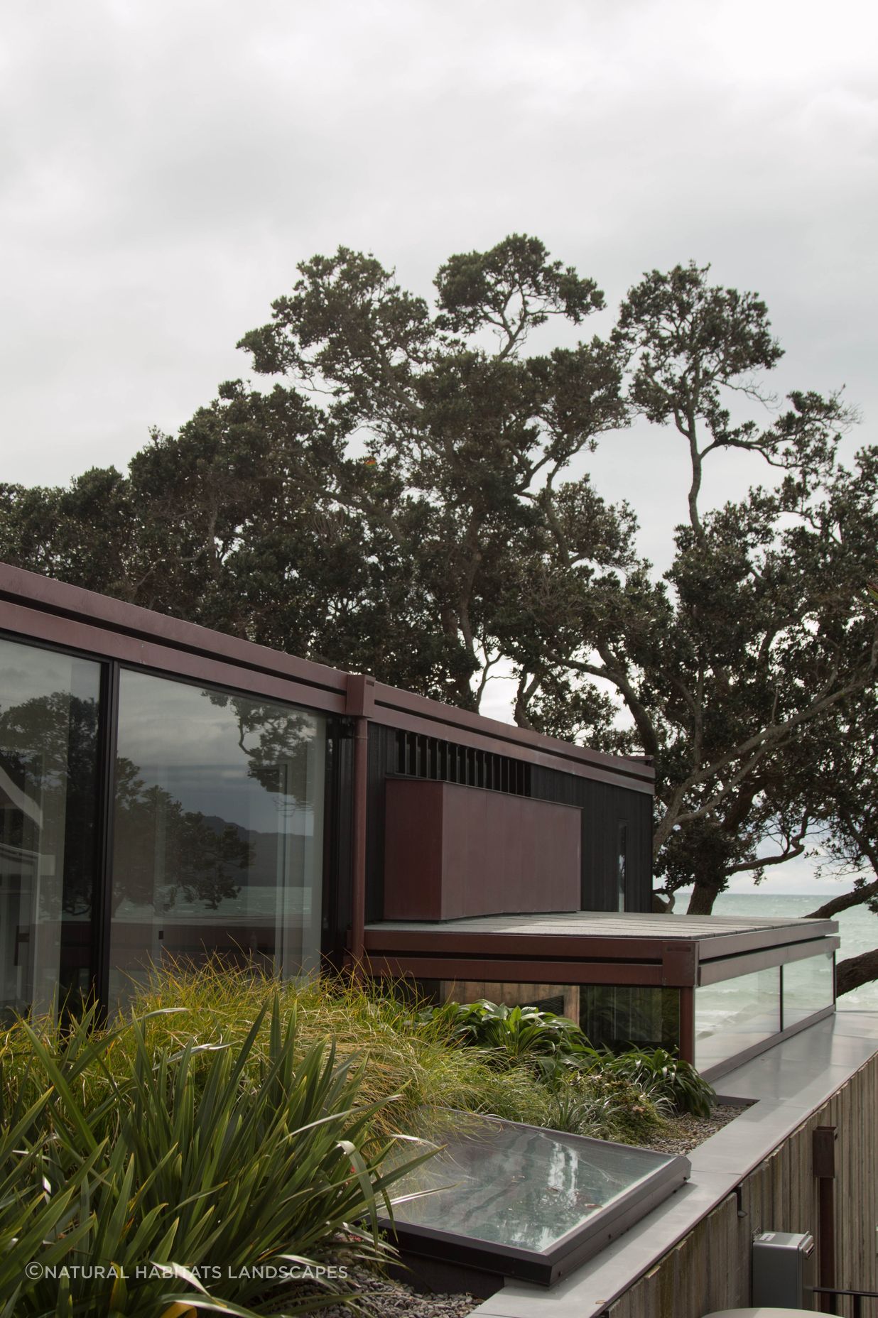 Takapuna Green Roof