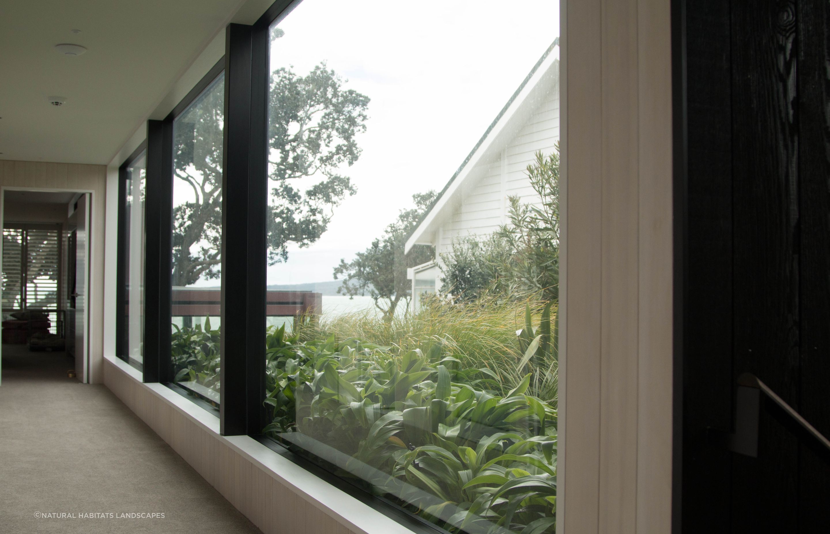 Takapuna Green Roof