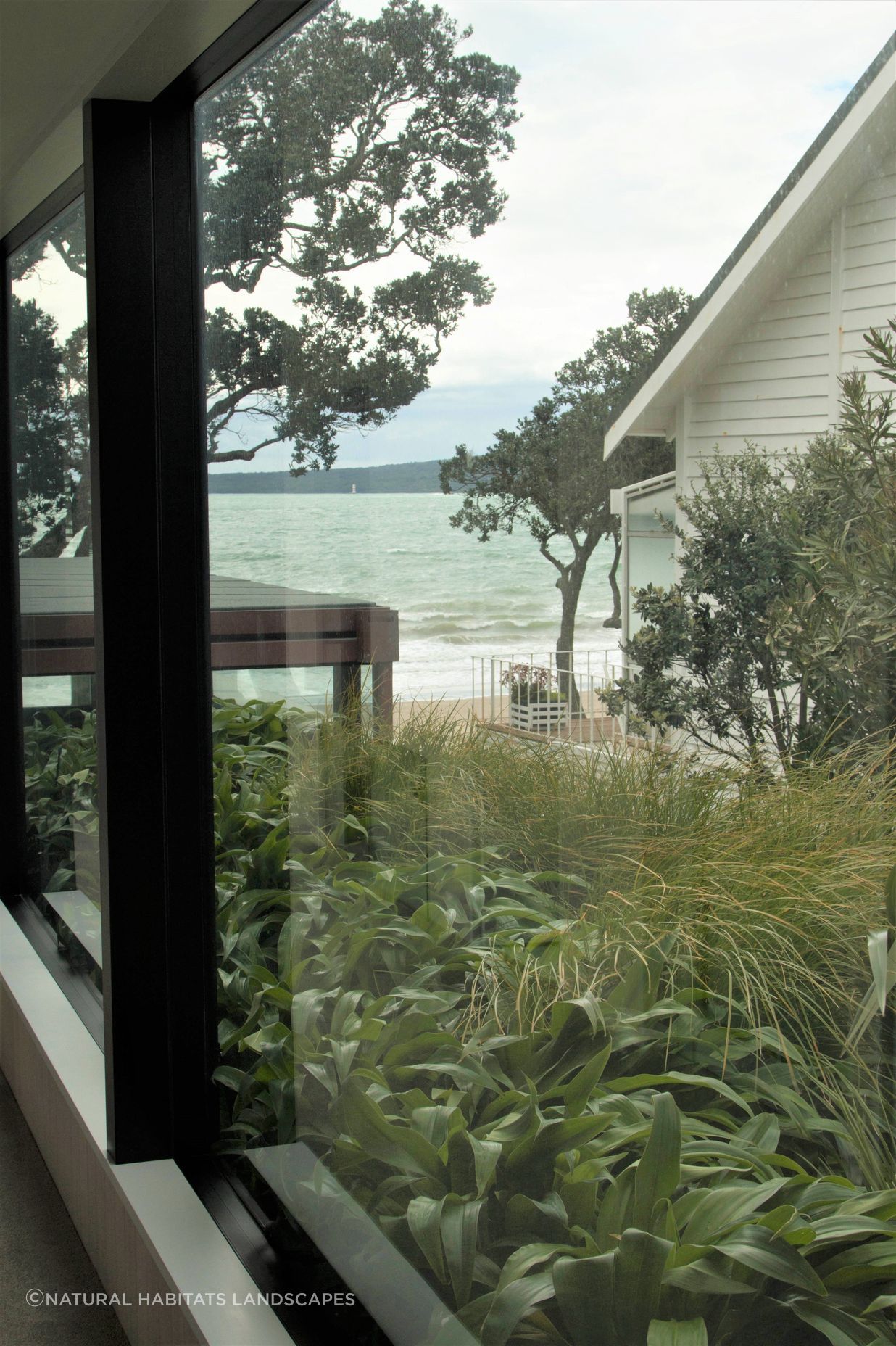 Takapuna Green Roof