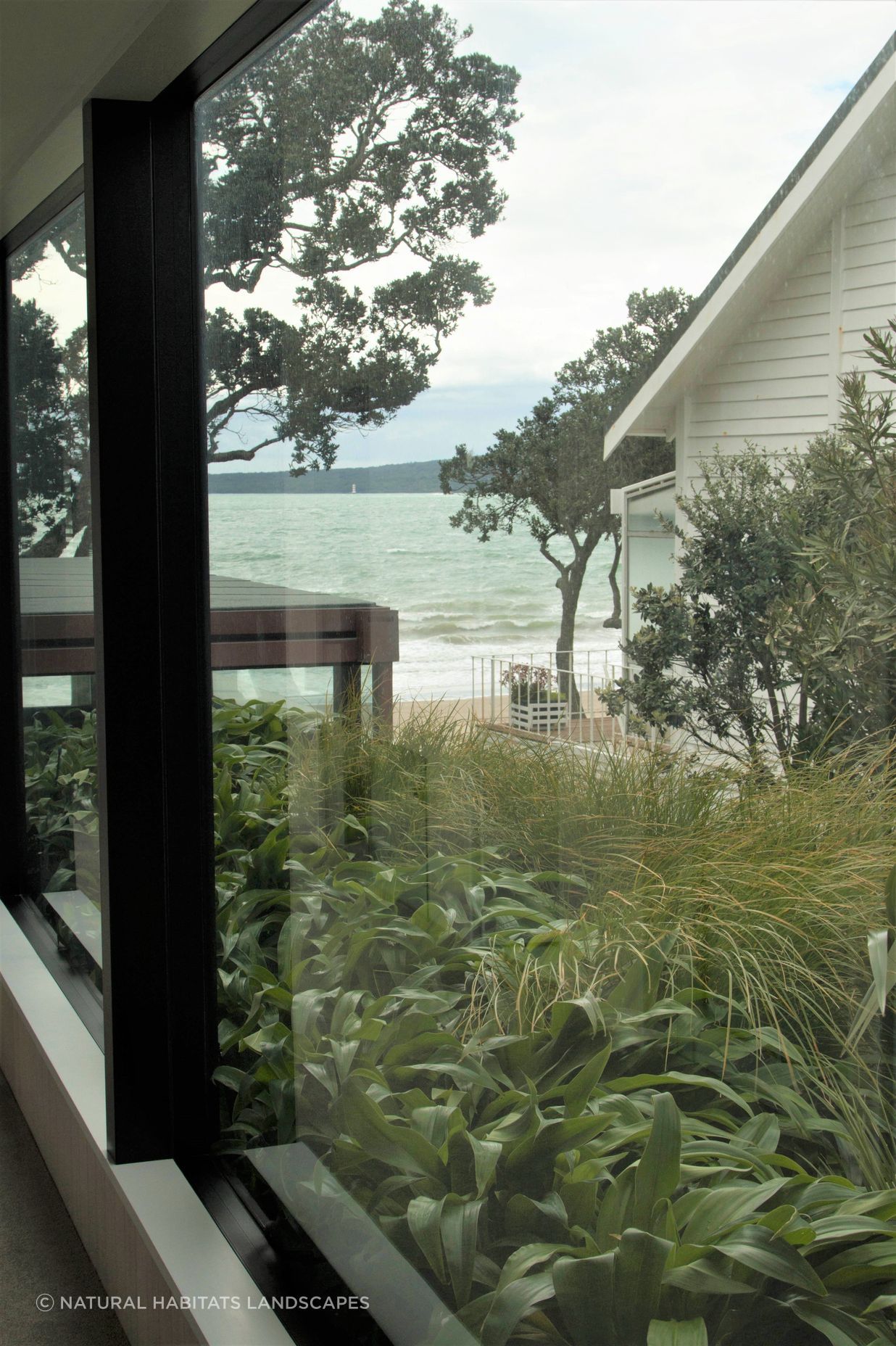Takapuna Green Roof