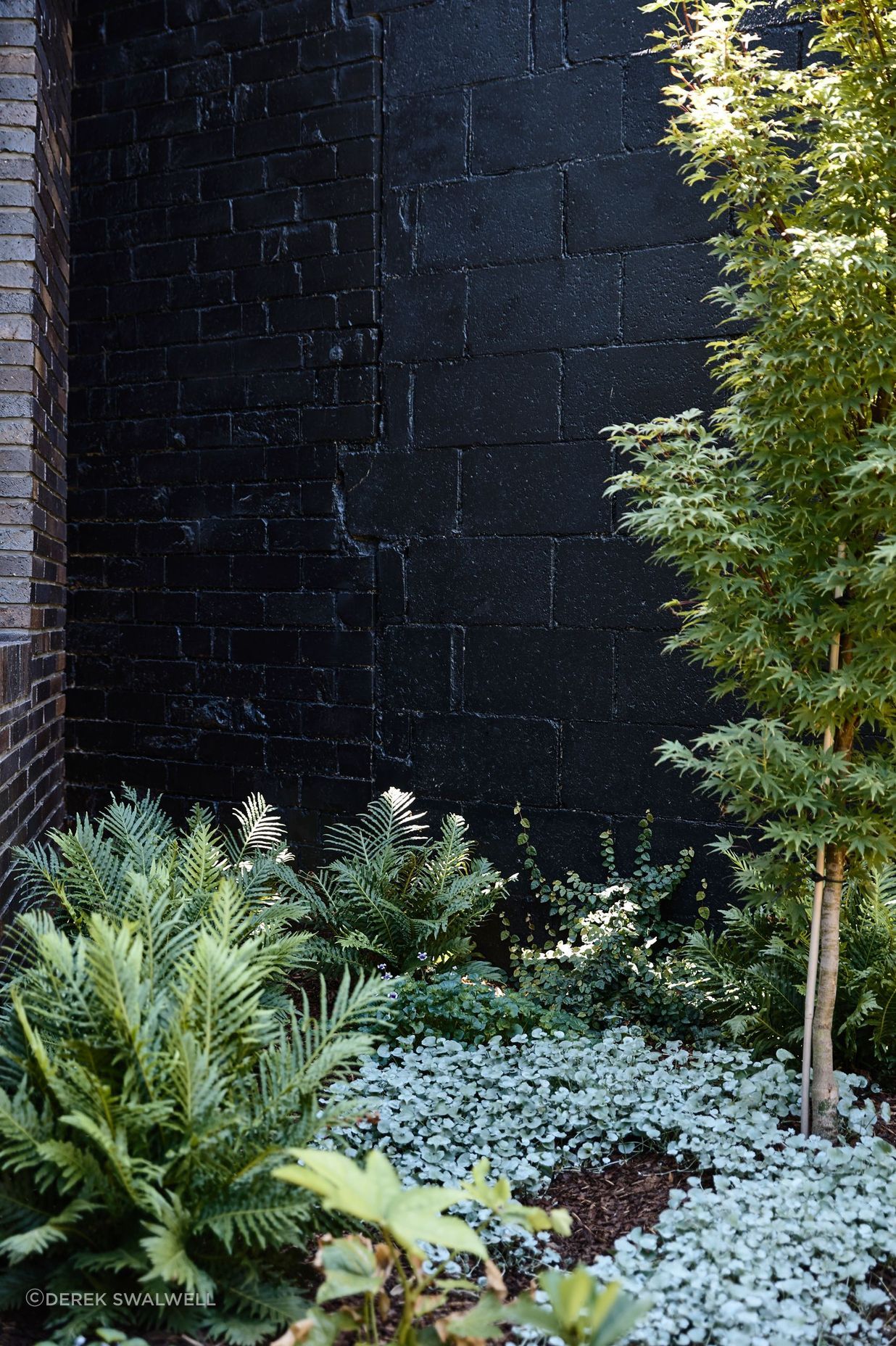 Ascot Vale House