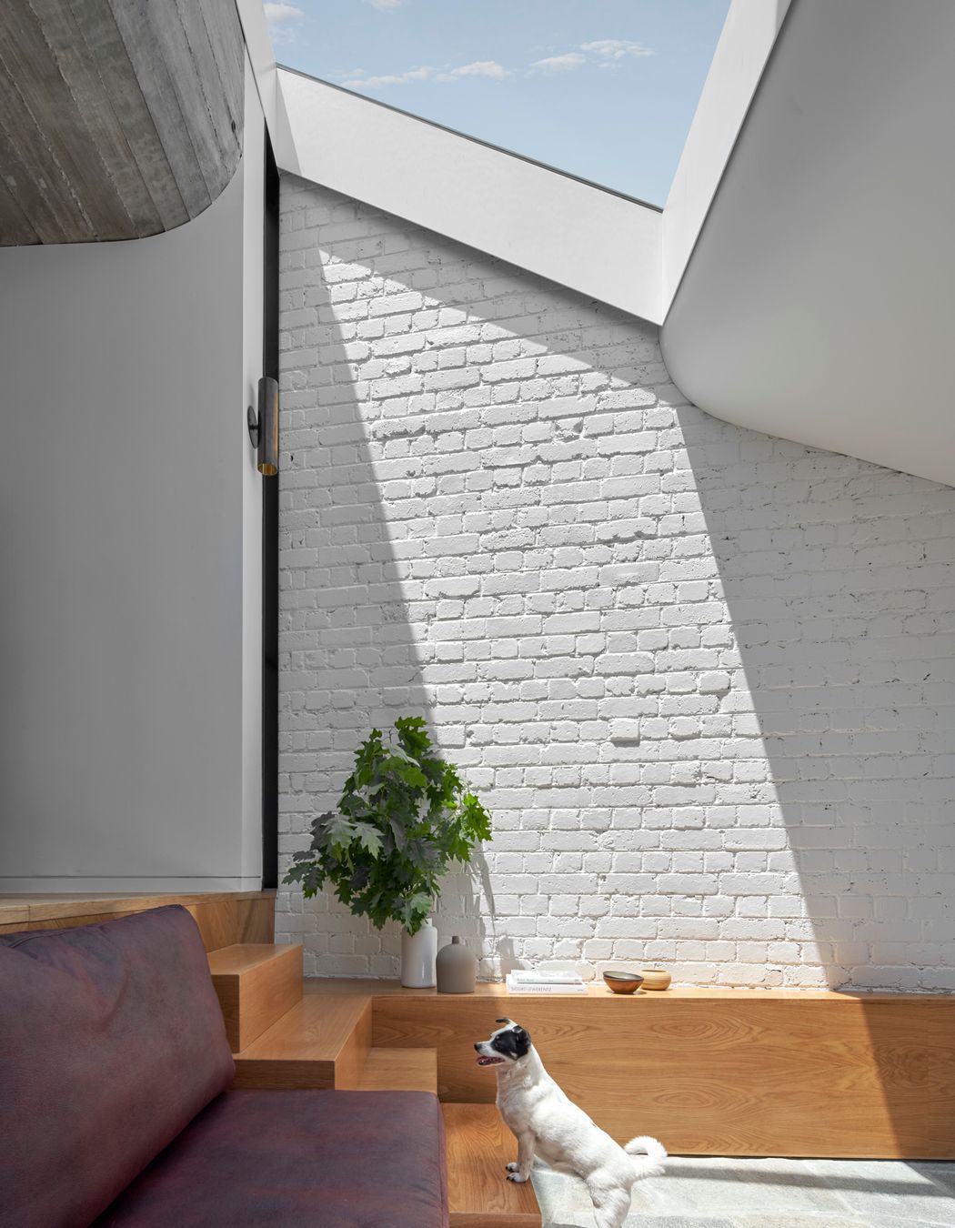 Fitzroy Terrace House