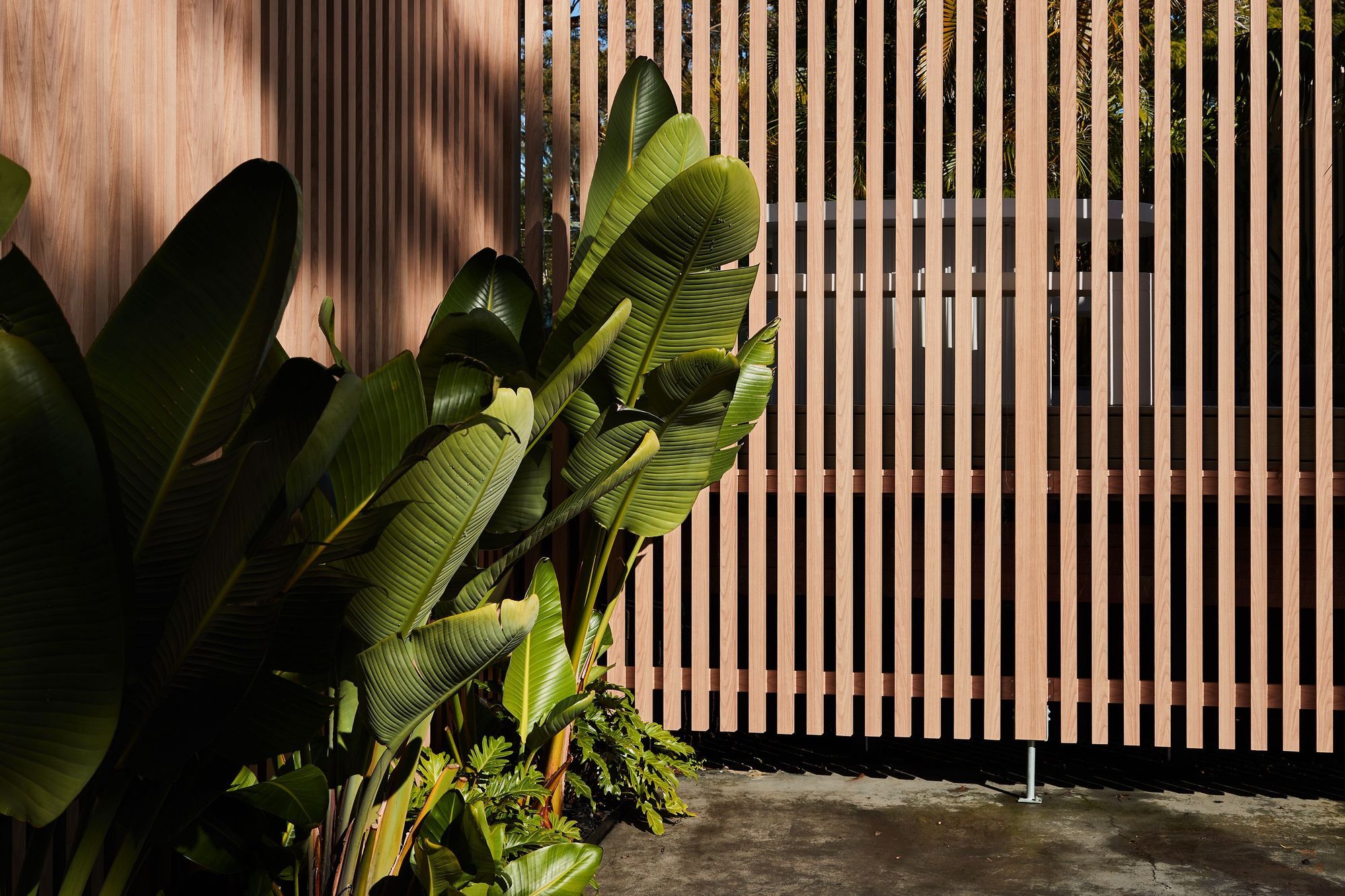 DECO x Shannon Vos