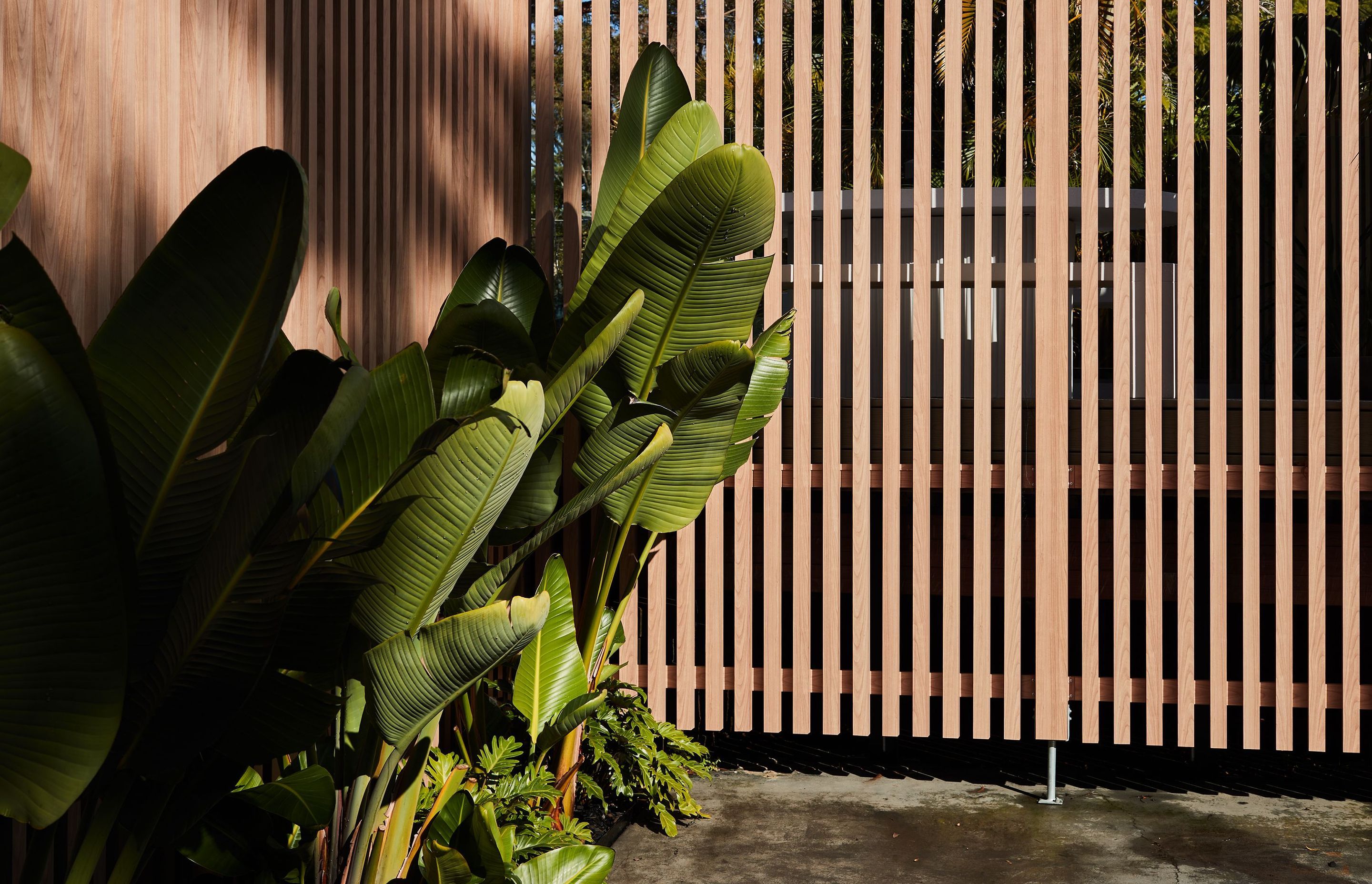 DECO x Shannon Vos