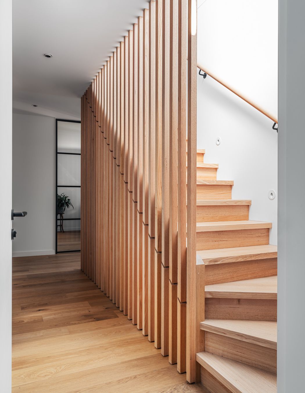 VailStreetPrahranDXArchitectsExtension-7.jpg