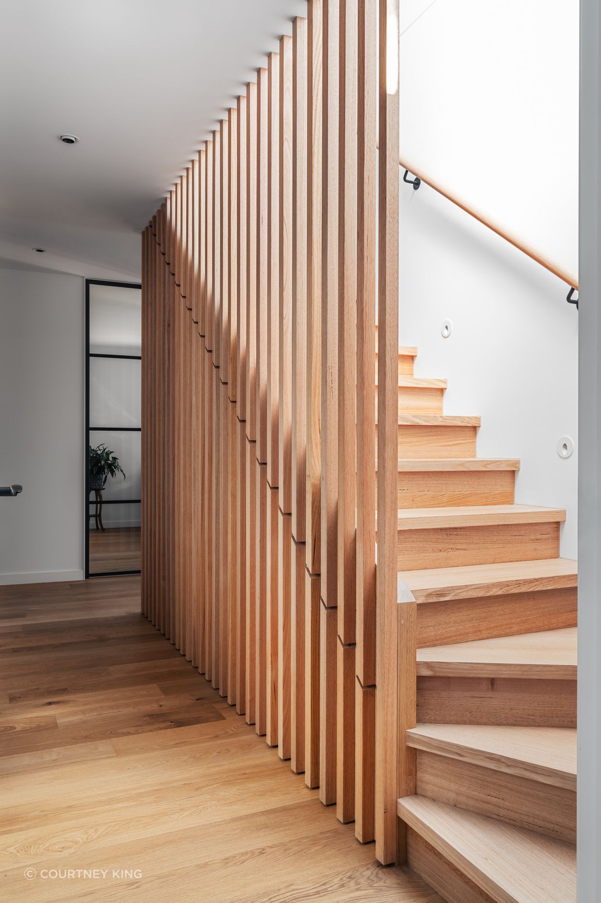 VailStreetPrahranDXArchitectsExtension-7.jpg