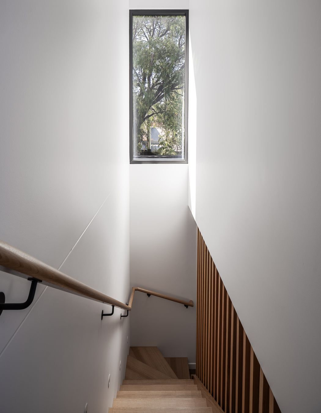 VailStreetPrahranDXArchitectsExtension-8.jpg