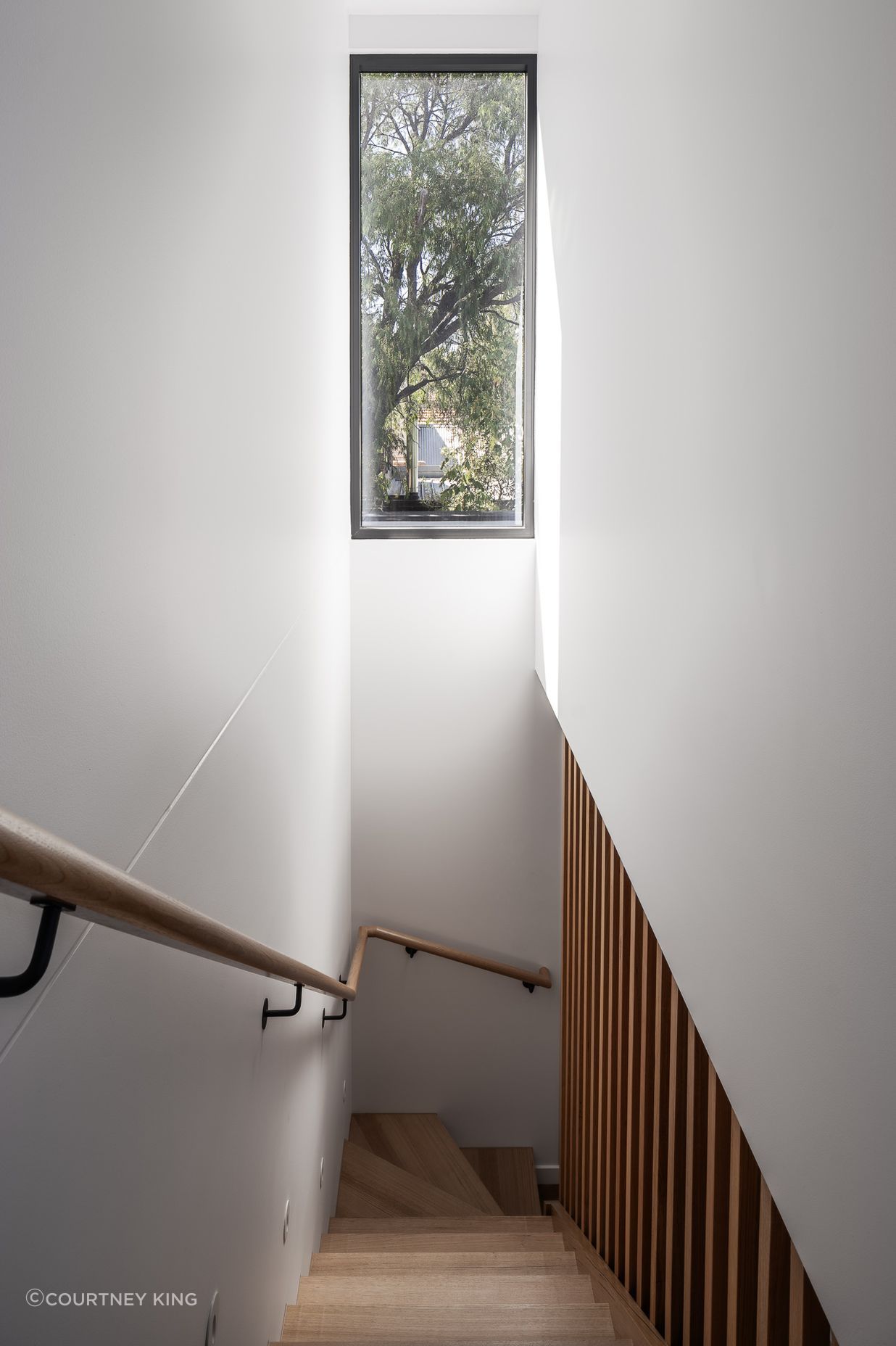 VailStreetPrahranDXArchitectsExtension-8.jpg