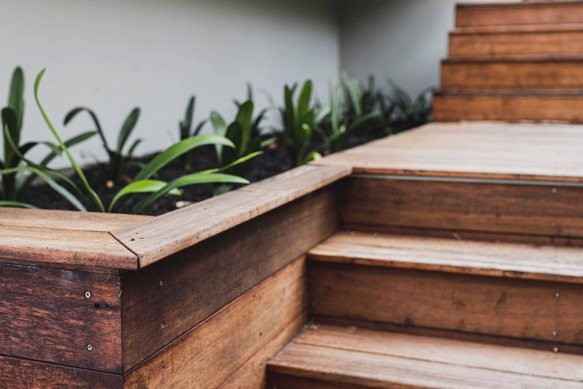 Wilding Avenue, Northcote Point