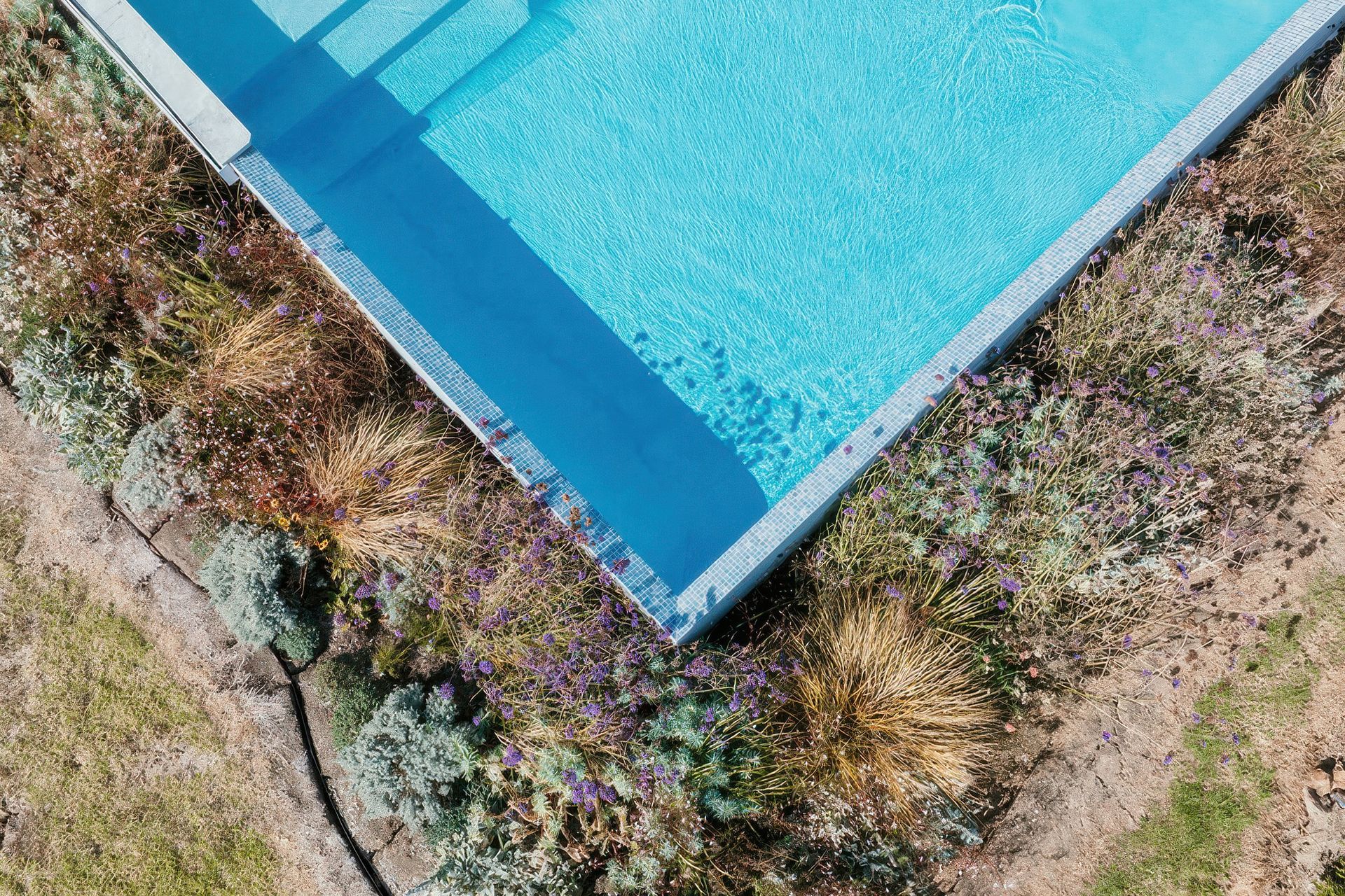 Waiheke-Pool-Interior-Renovation-03Aerial-gigapixel-standard-v2-2x.jpg