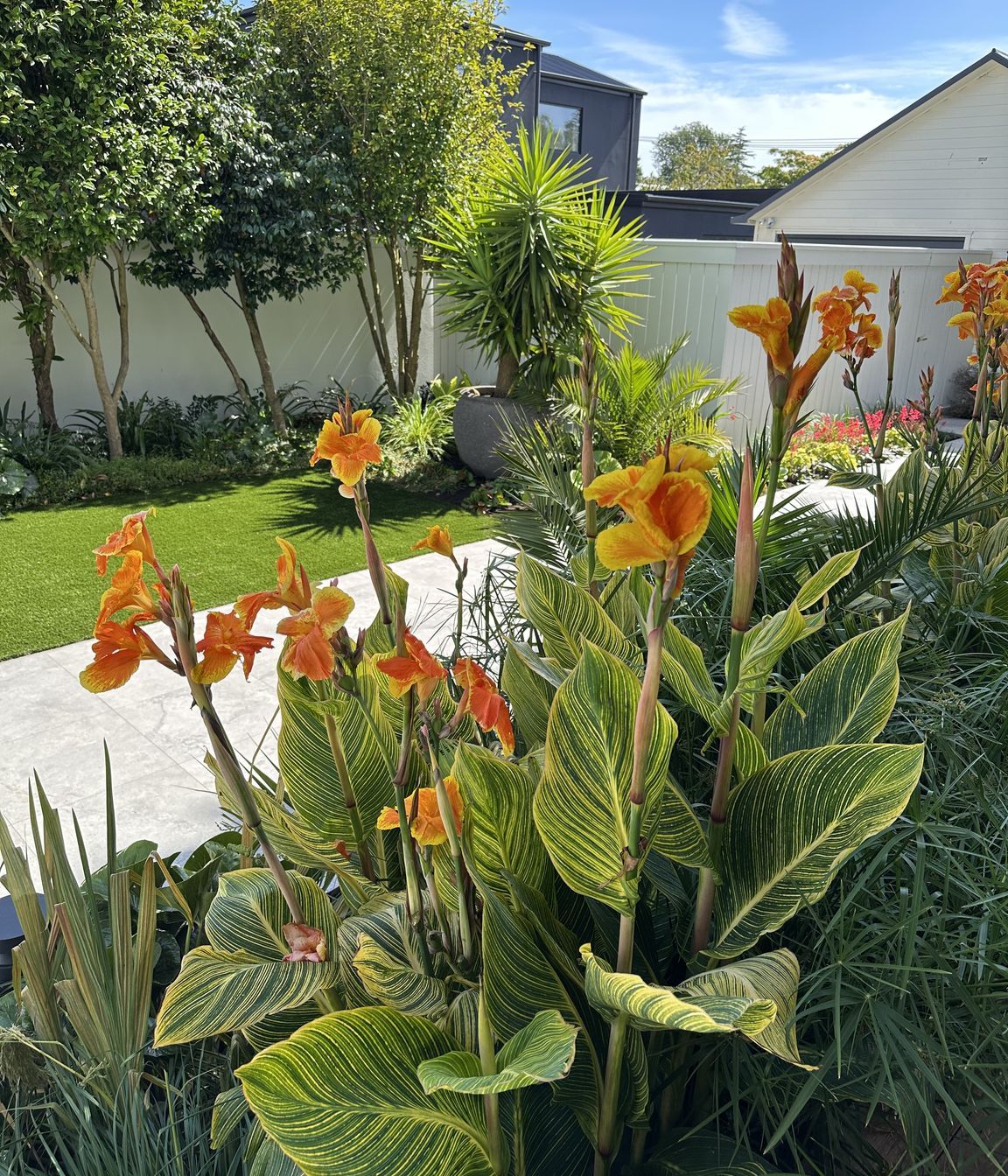 WatfordBotanic61.jpeg