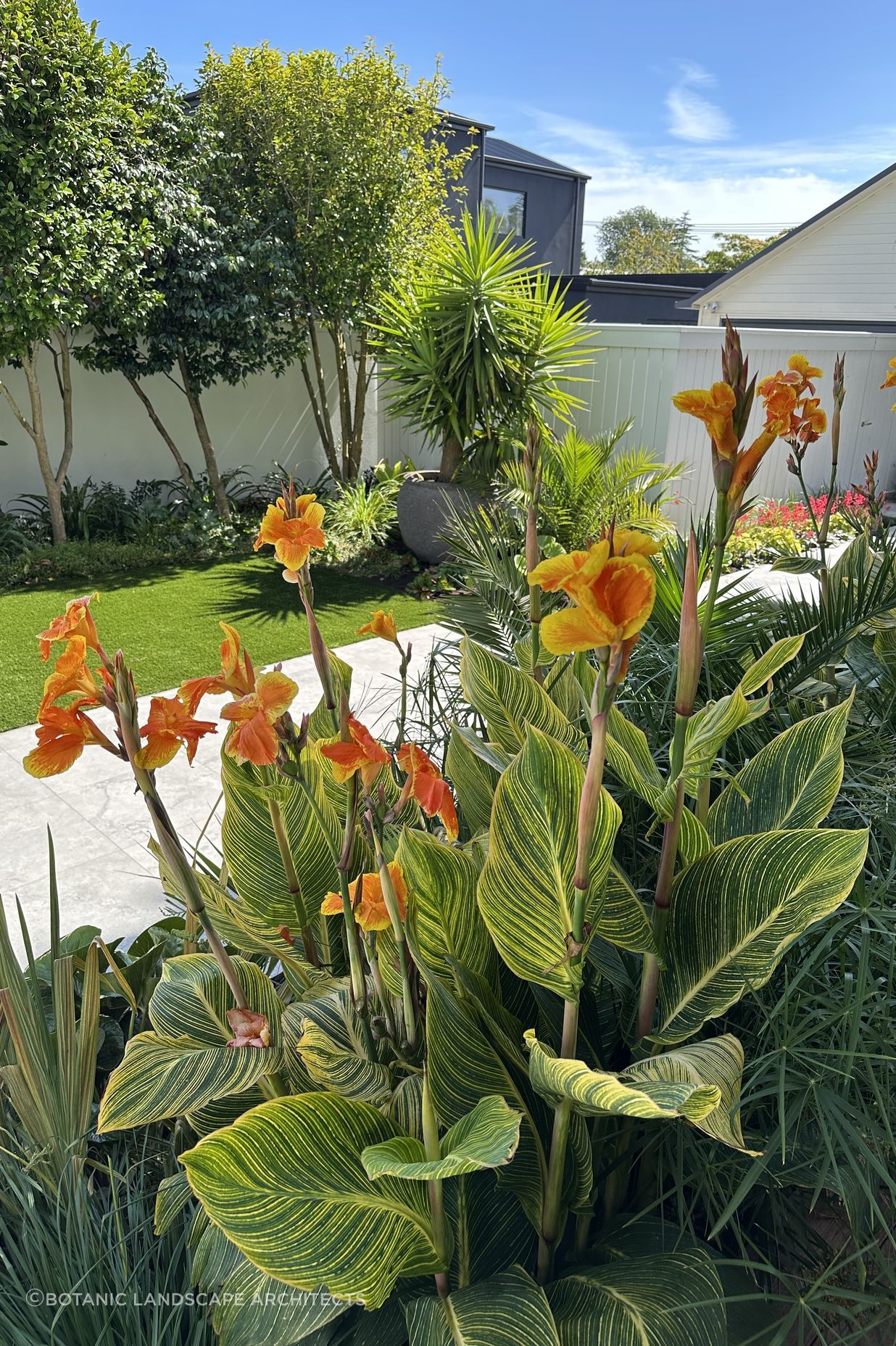 WatfordBotanic61.jpeg
