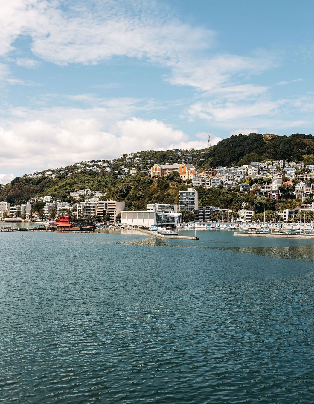 A view of Oriental Bay beach, the marina and Mt Victoria.