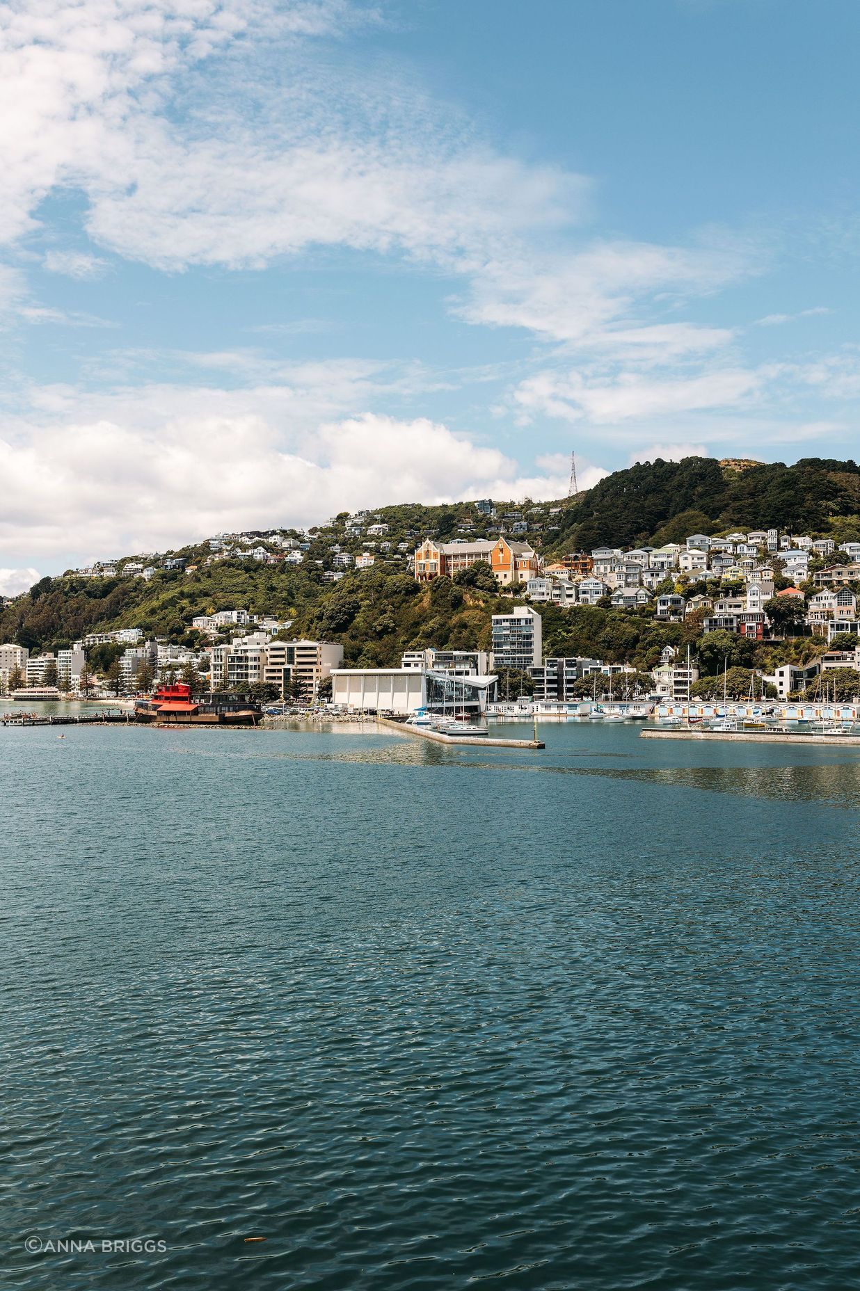 A view of Oriental Bay beach, the marina and Mt Victoria.