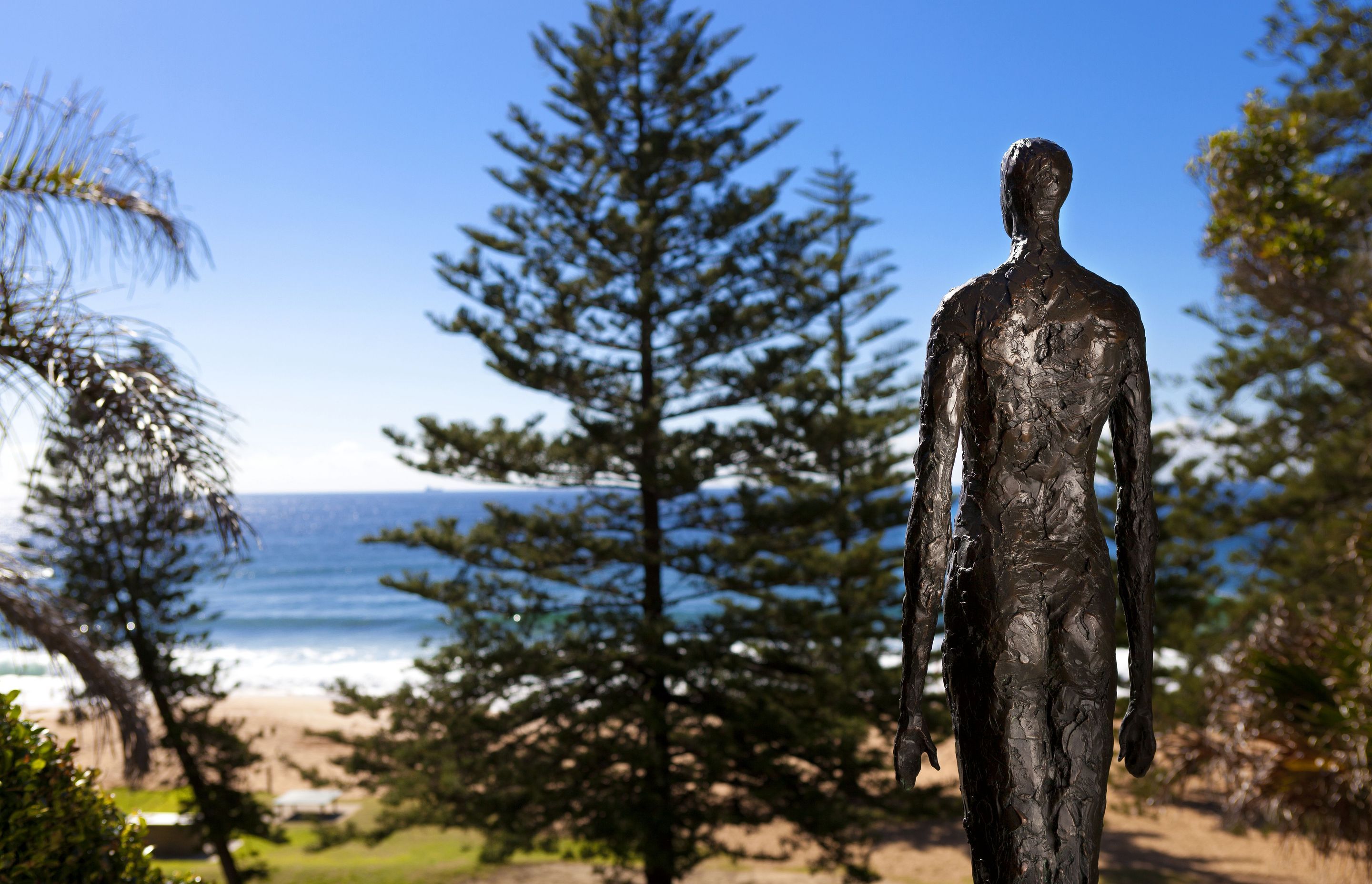 Whale Beach