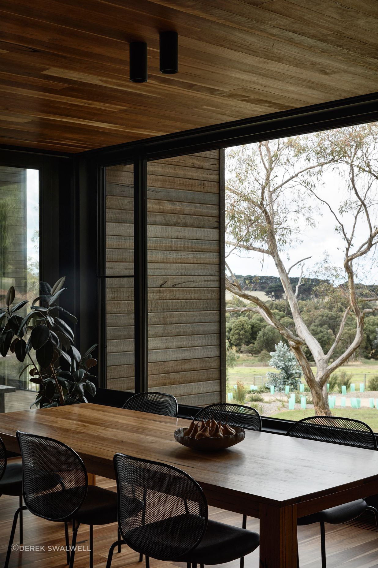 Wetlands House