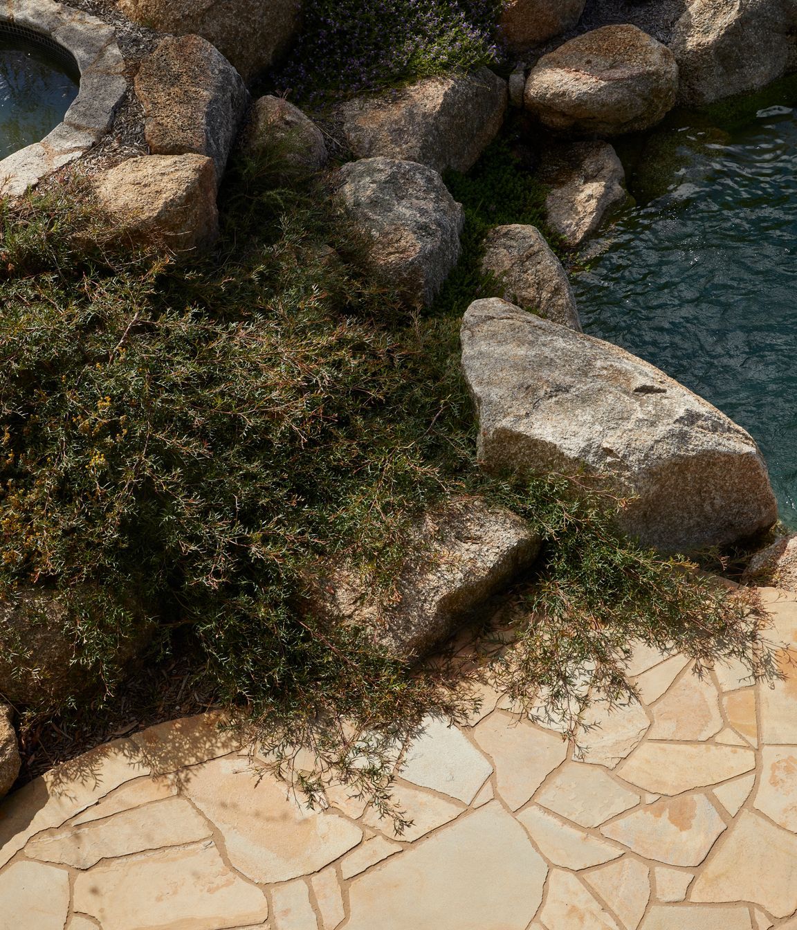 Wetlands House