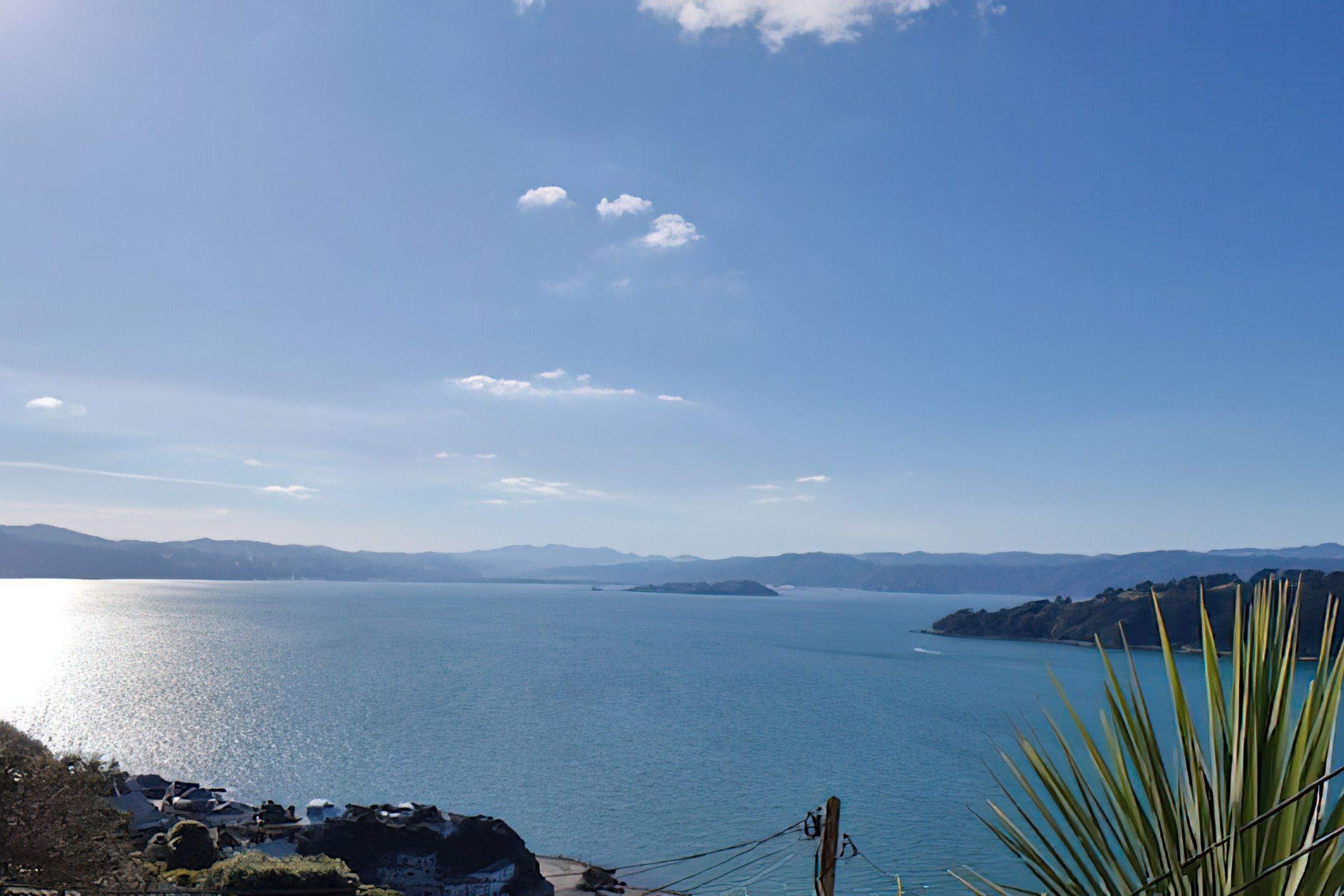 Roseneath Airbnb