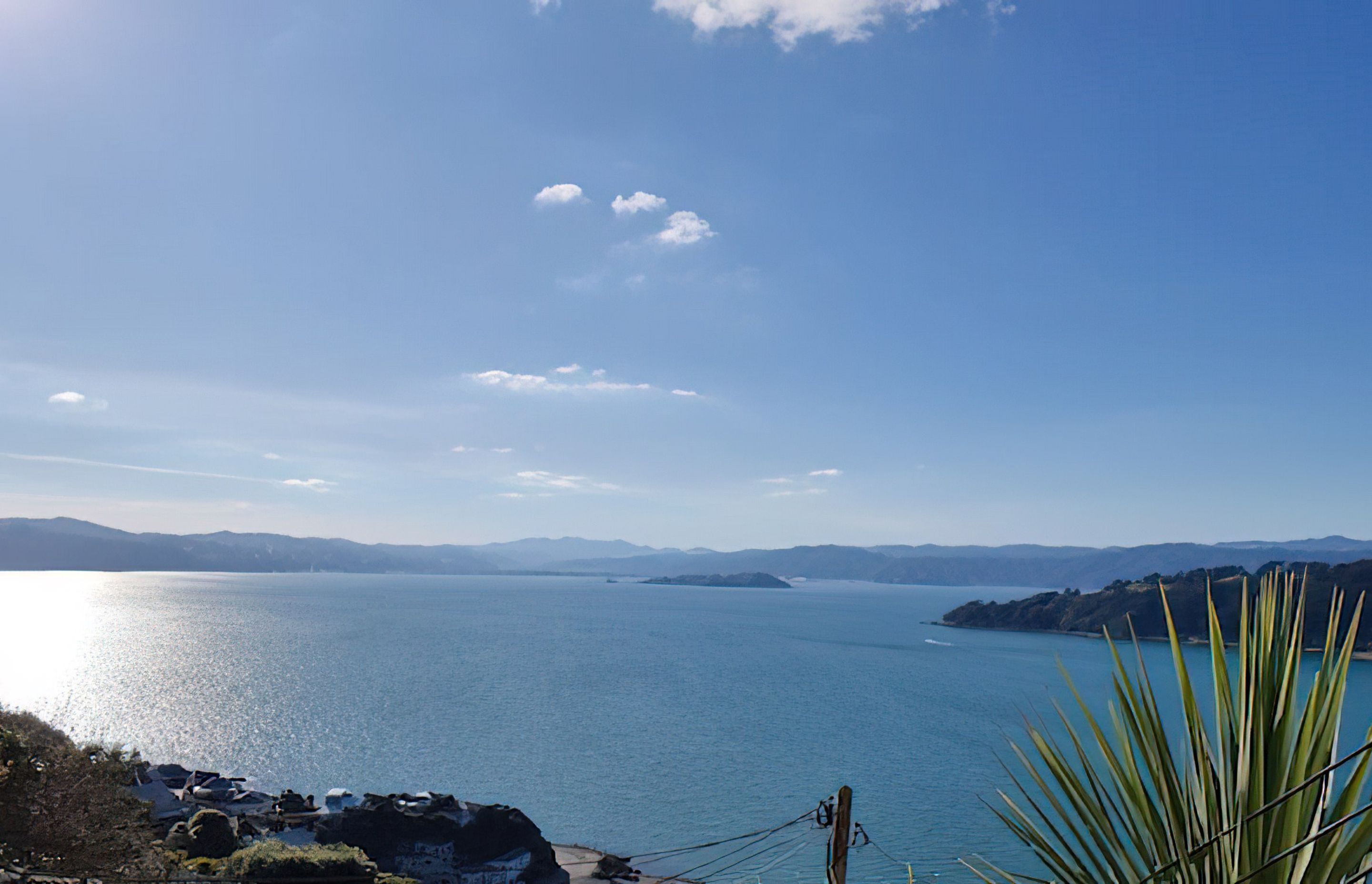Roseneath Airbnb