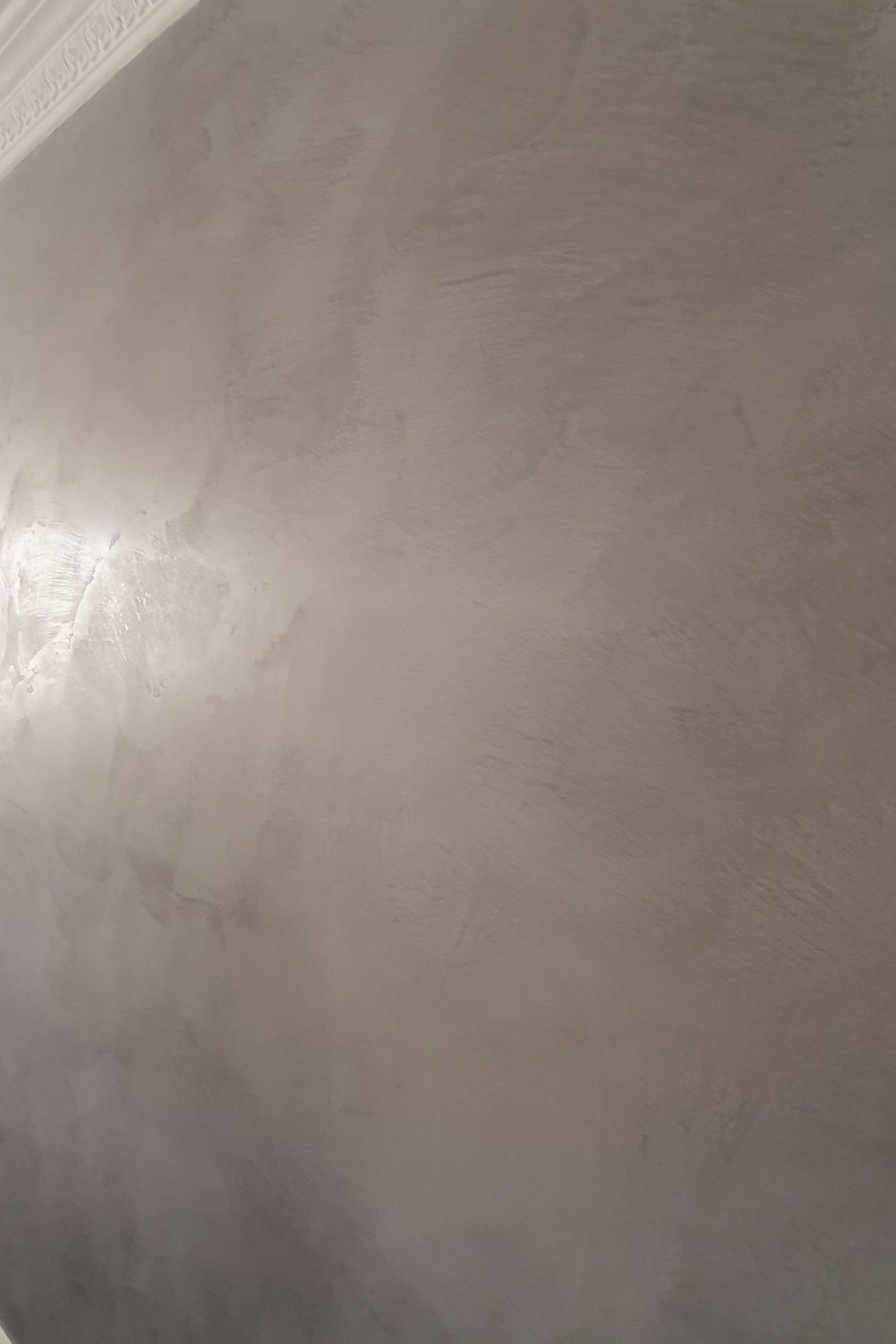 Venetian Plaster - Feature Wall