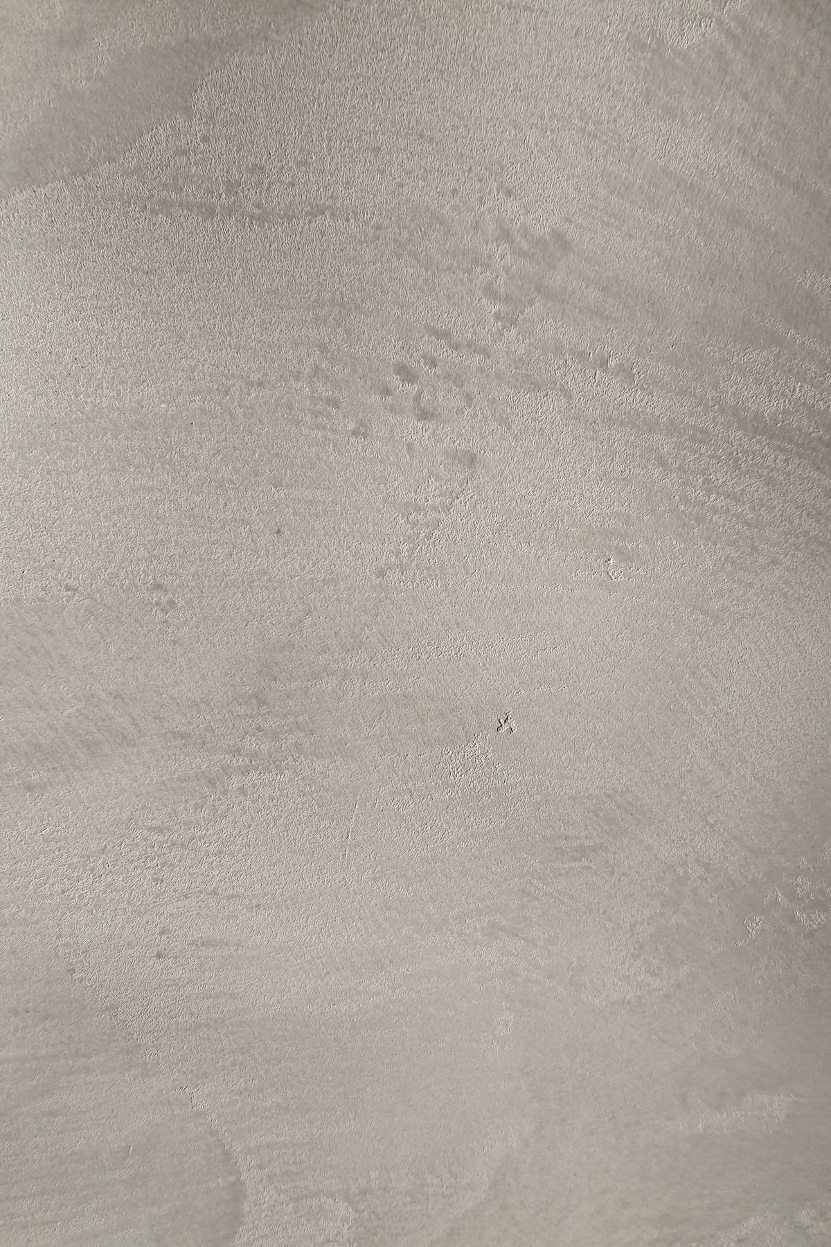 Venetian Plaster - Feature Wall