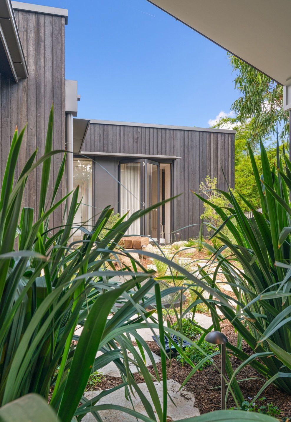 Native planting softens the charred timber cladding, threading garden between living spaces.