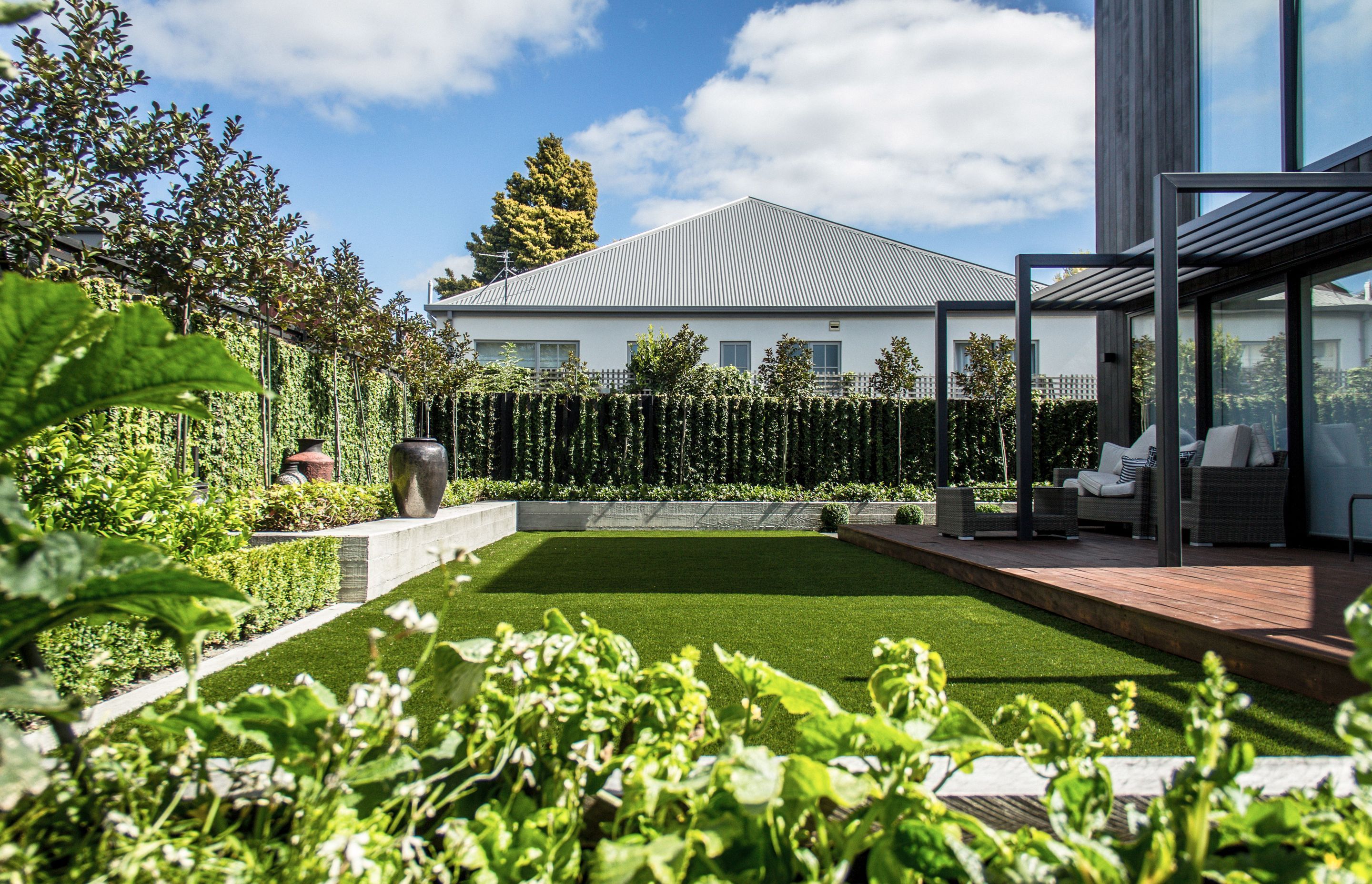 Puppy-proof Lawn in Christchurch