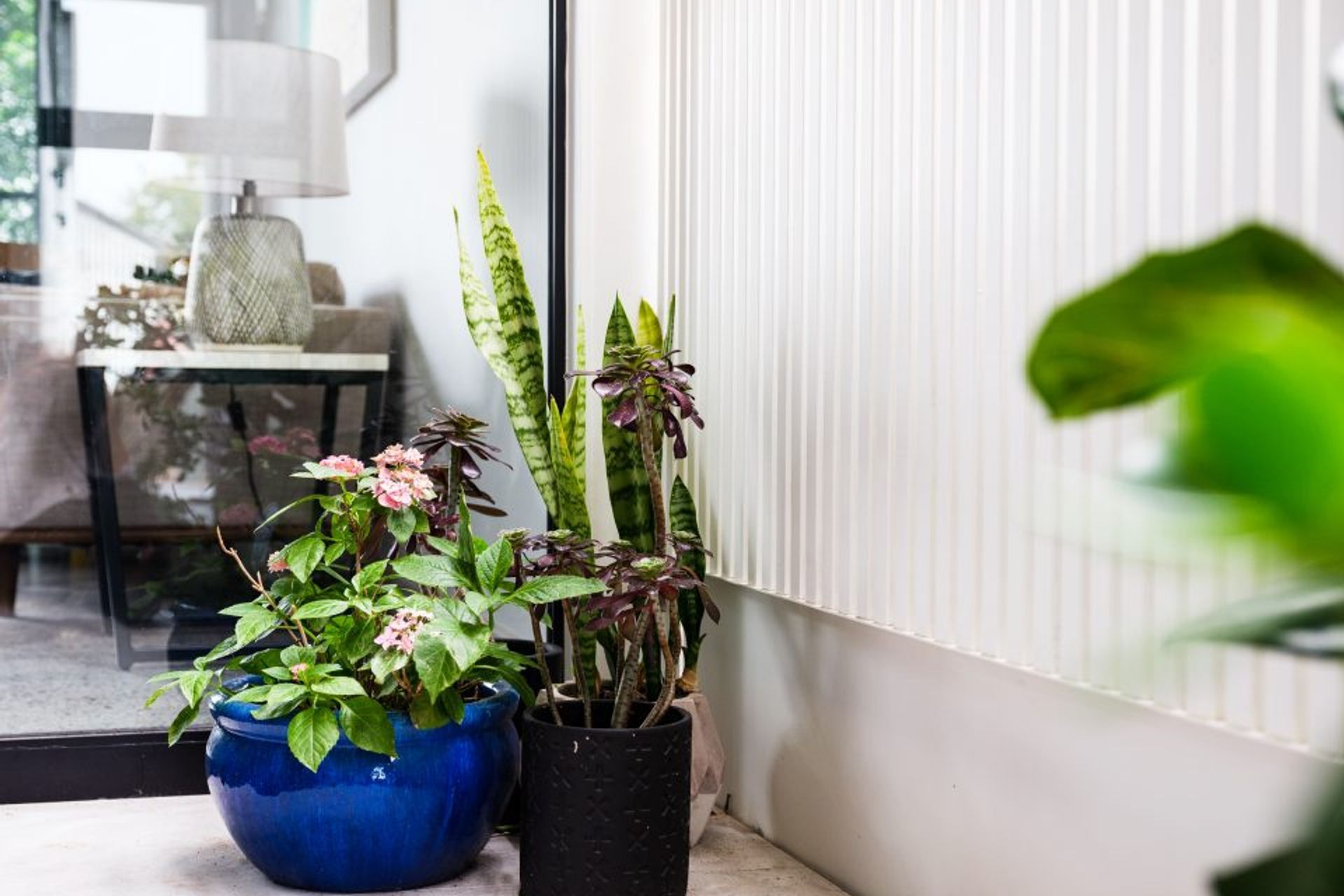 MARRICKVILLE RESIDENCE