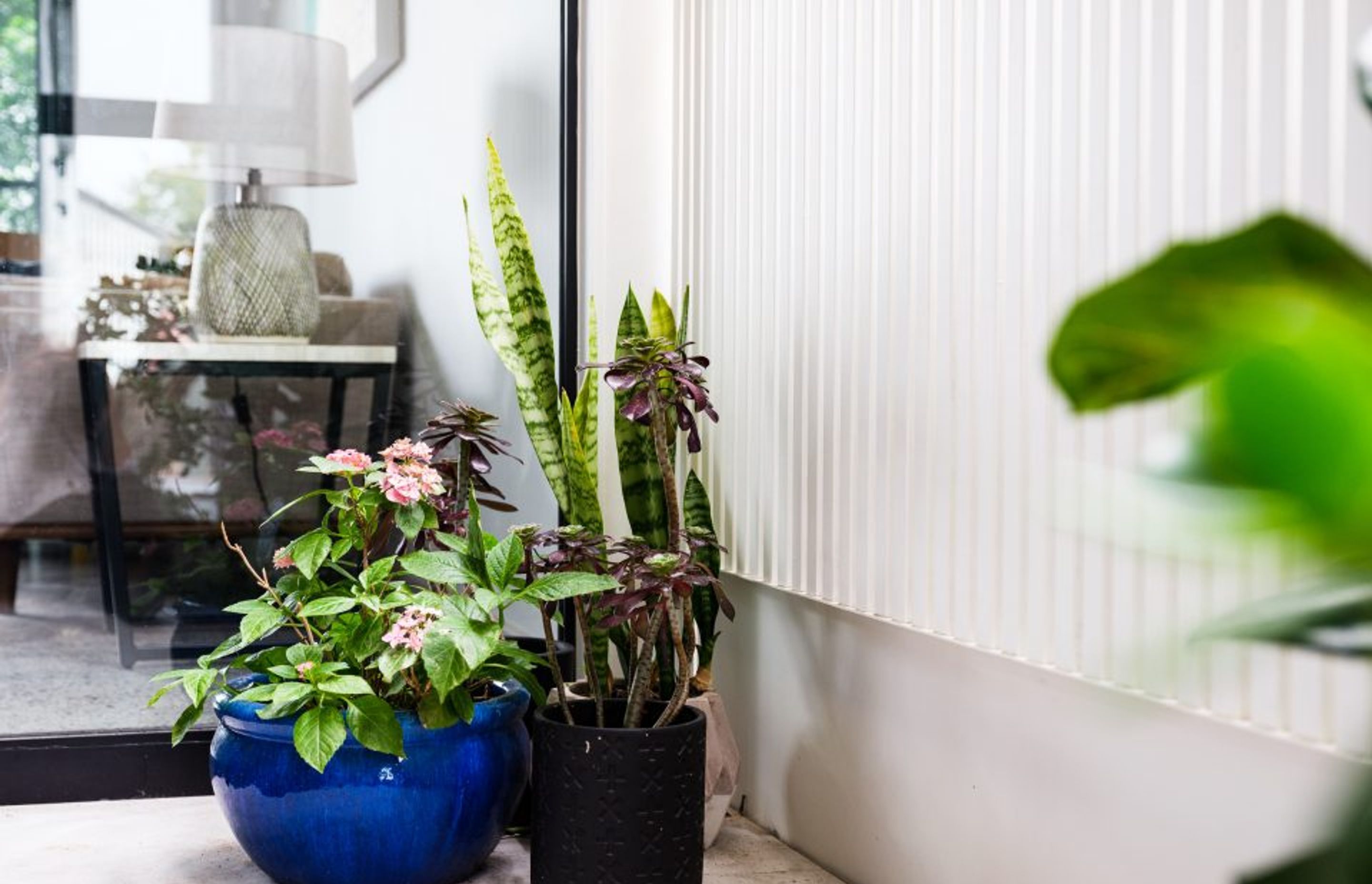 MARRICKVILLE RESIDENCE