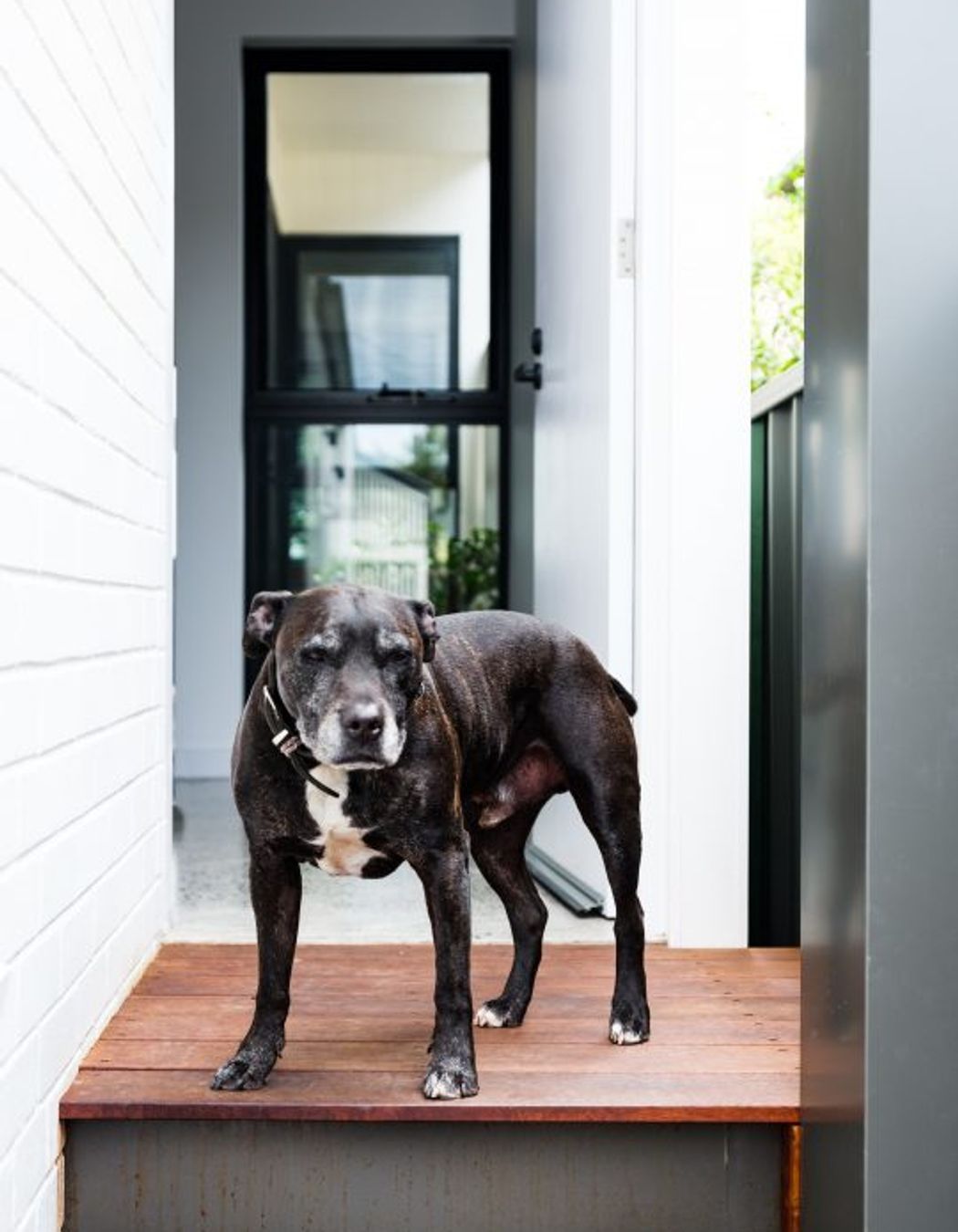 MARRICKVILLE RESIDENCE