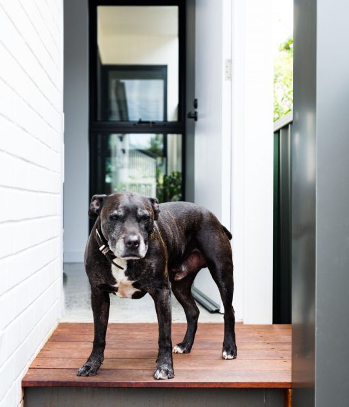 MARRICKVILLE RESIDENCE