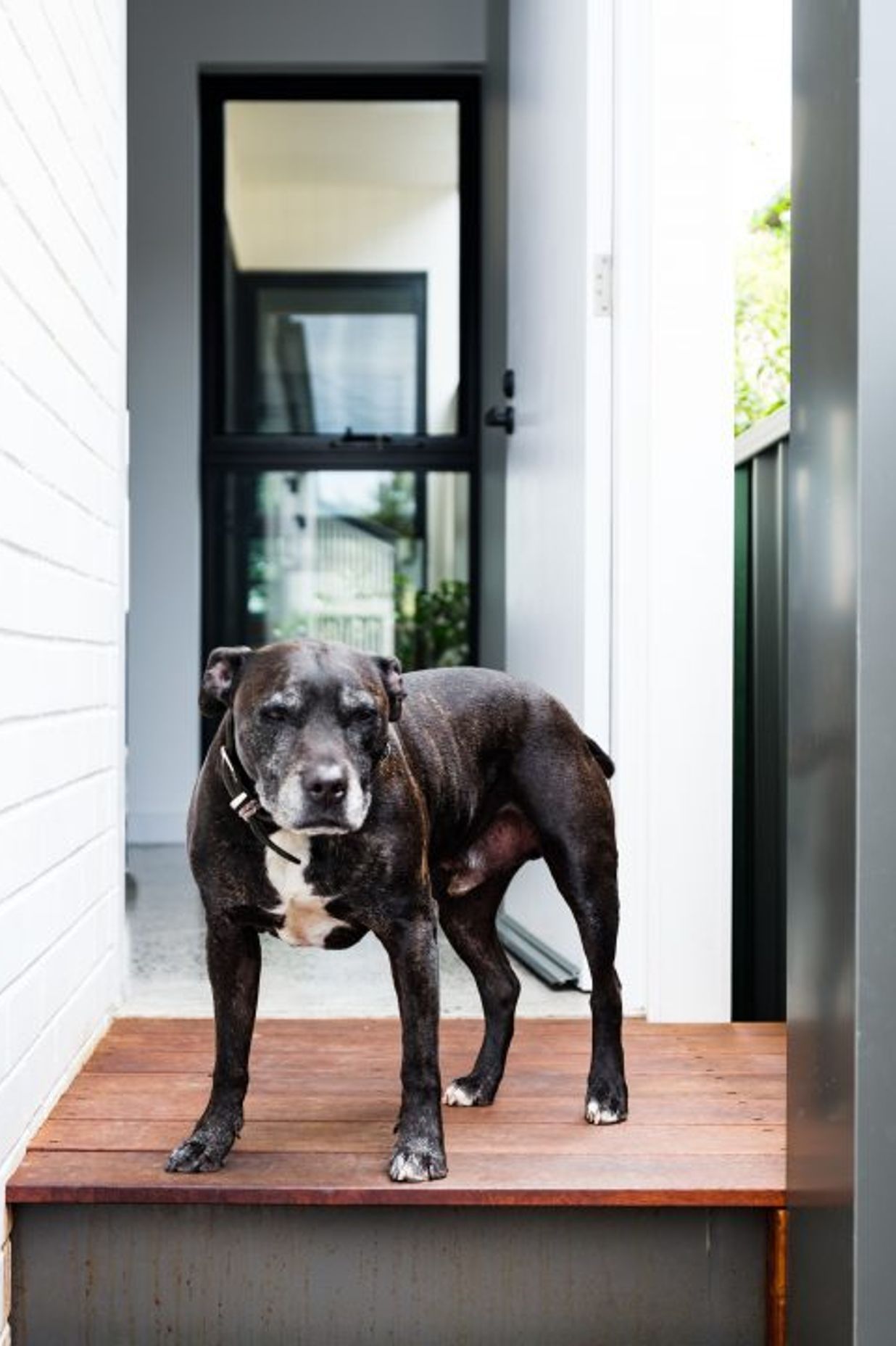 MARRICKVILLE RESIDENCE