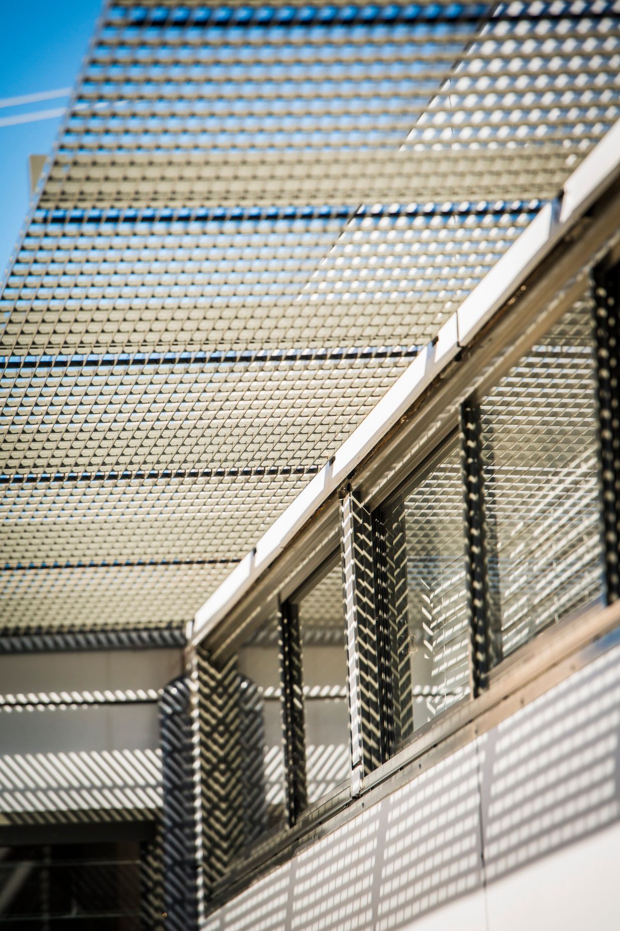 Birchgrove Renovation