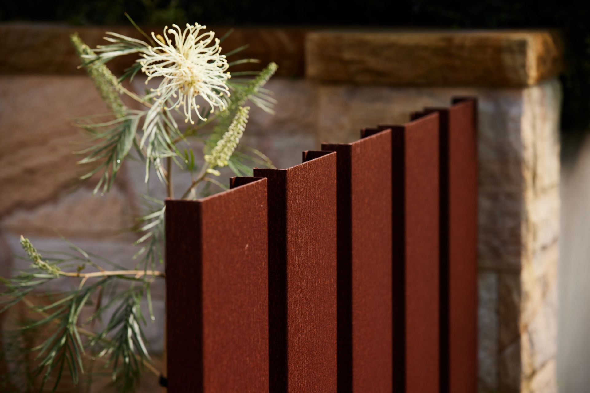 Paton Street, Kingsford