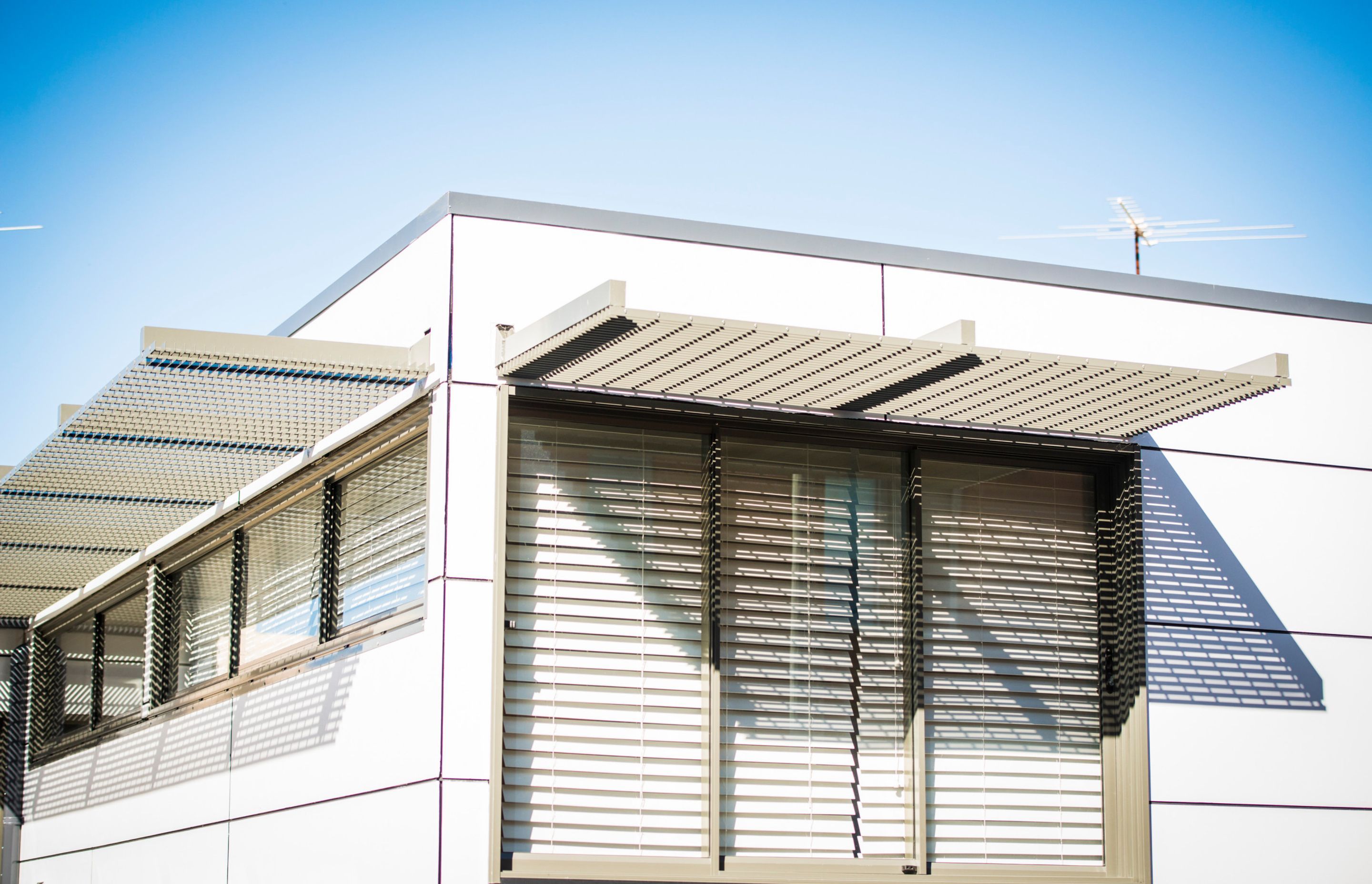 Birchgrove Renovation