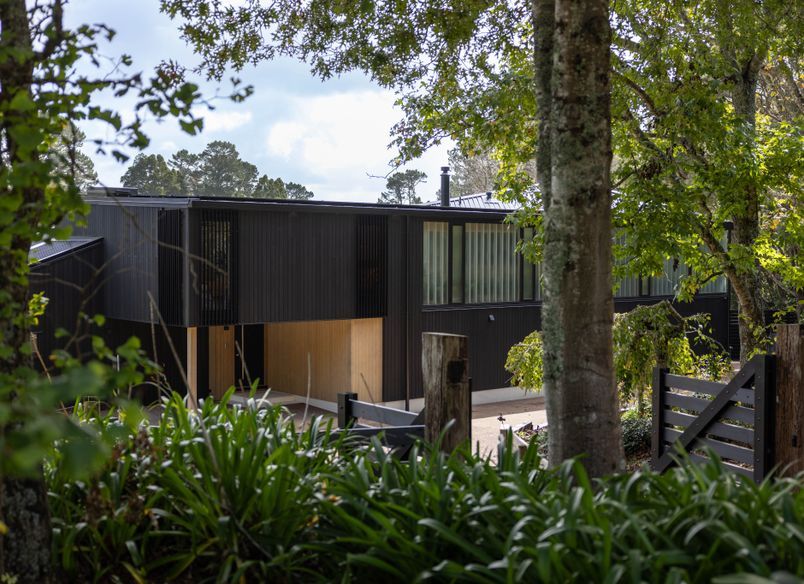 Kauri house