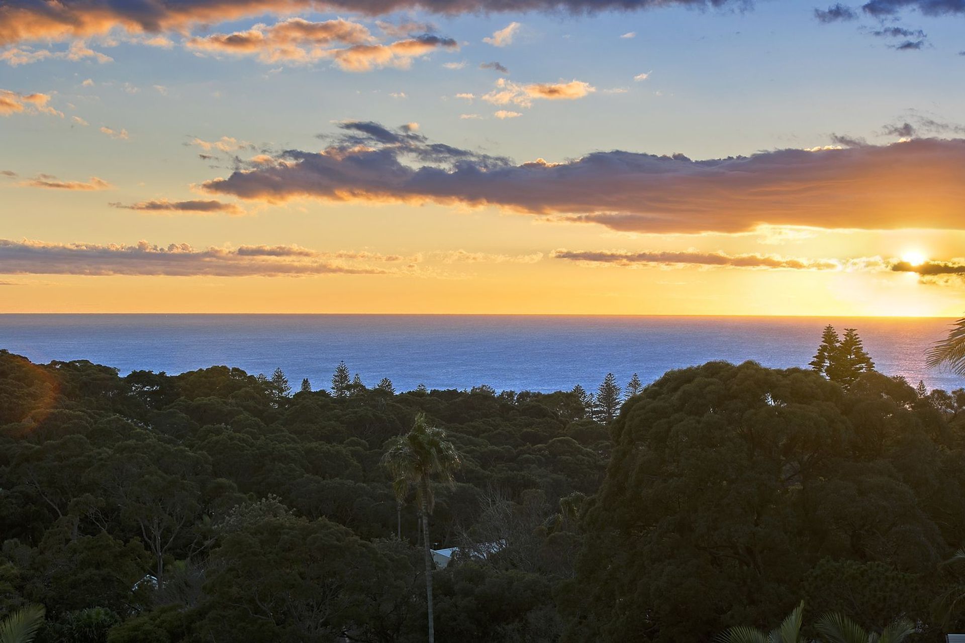 Collaroy 2