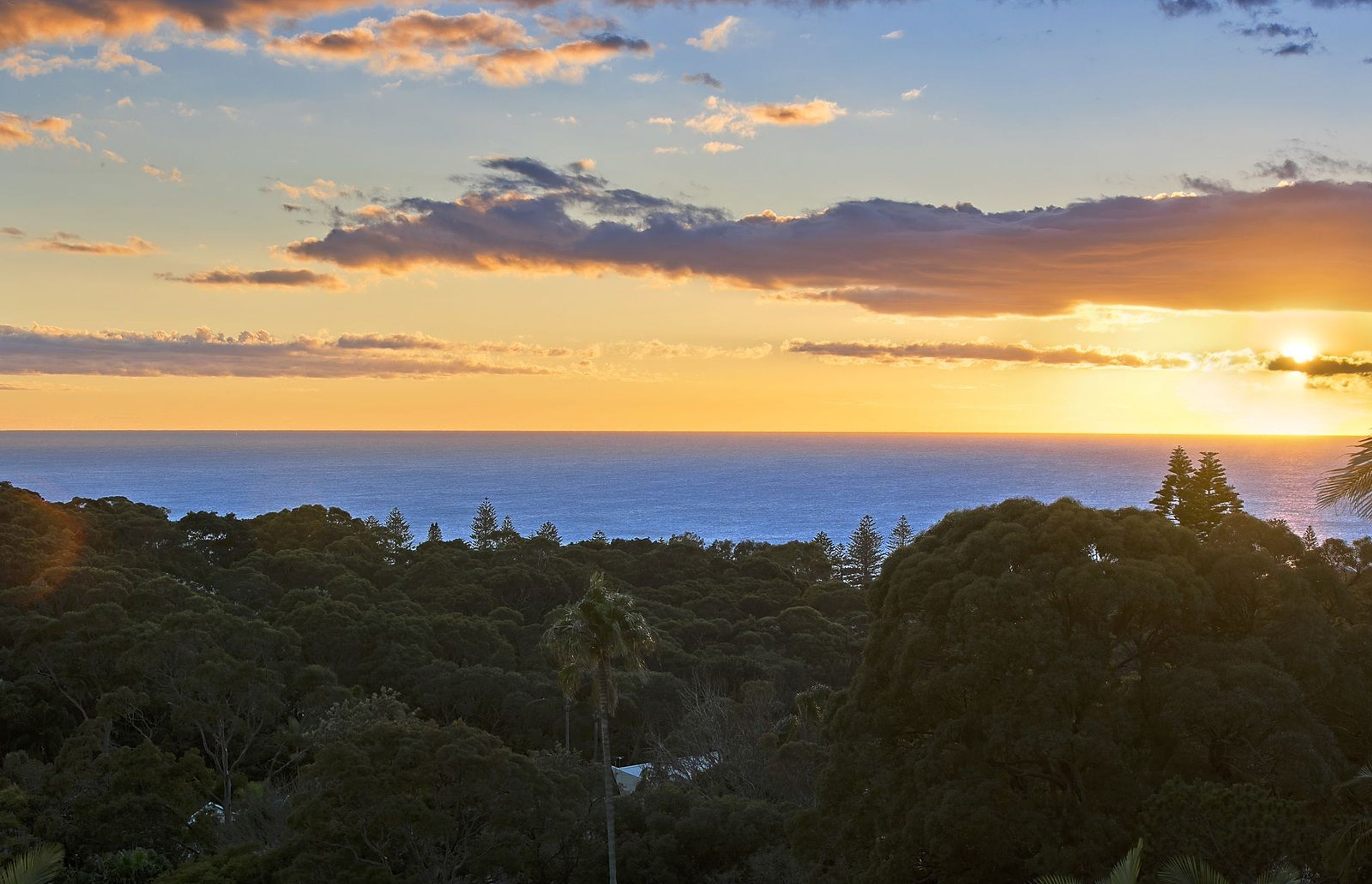 Collaroy 2