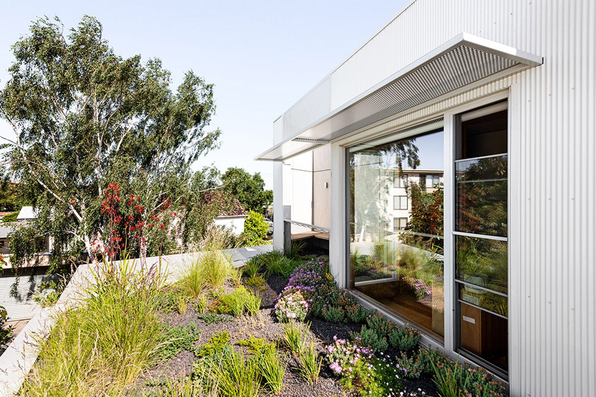 Ascot Vale