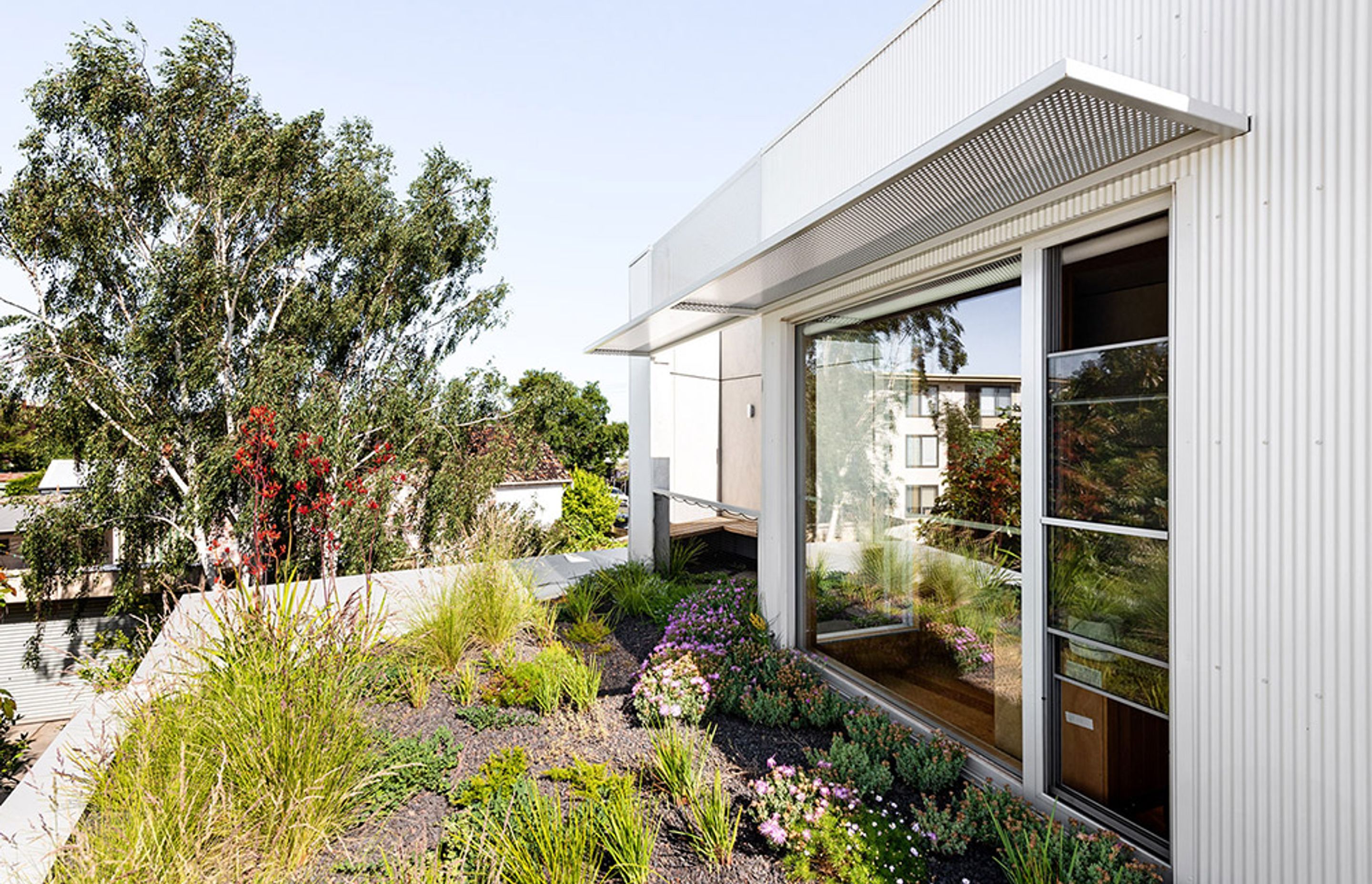 Ascot Vale