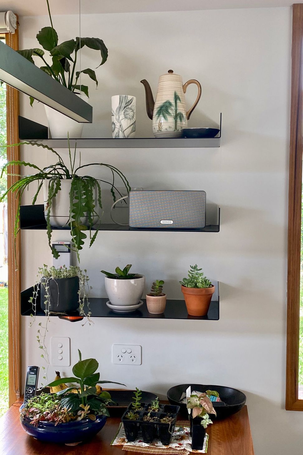 Custom designed display shelves in the kitchen feature favorite ceramics and plants