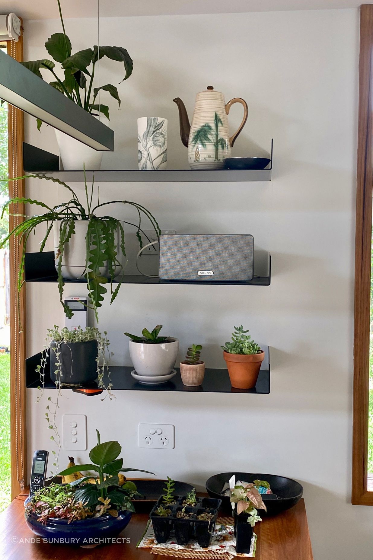 Custom designed display shelves in the kitchen feature favorite ceramics and plants