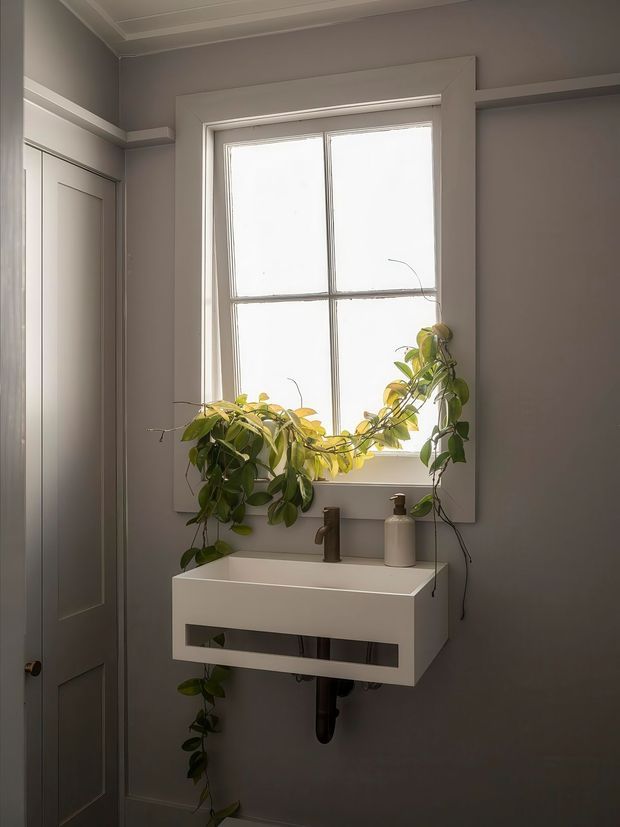 A compact, moody bathroom with a floating white wall-mounted vanity beneath a large traditional four-pane window. The vanity has a white rectangular basin, dark bronze or black tapware, exposed plumbing below, and a small neutral soap dispenser. A trailing green plant drapes across the window and around the vanity. Grey painted walls, white timber window trim, a paneled interior door, and a decorative white ceiling create a refined traditional character.
