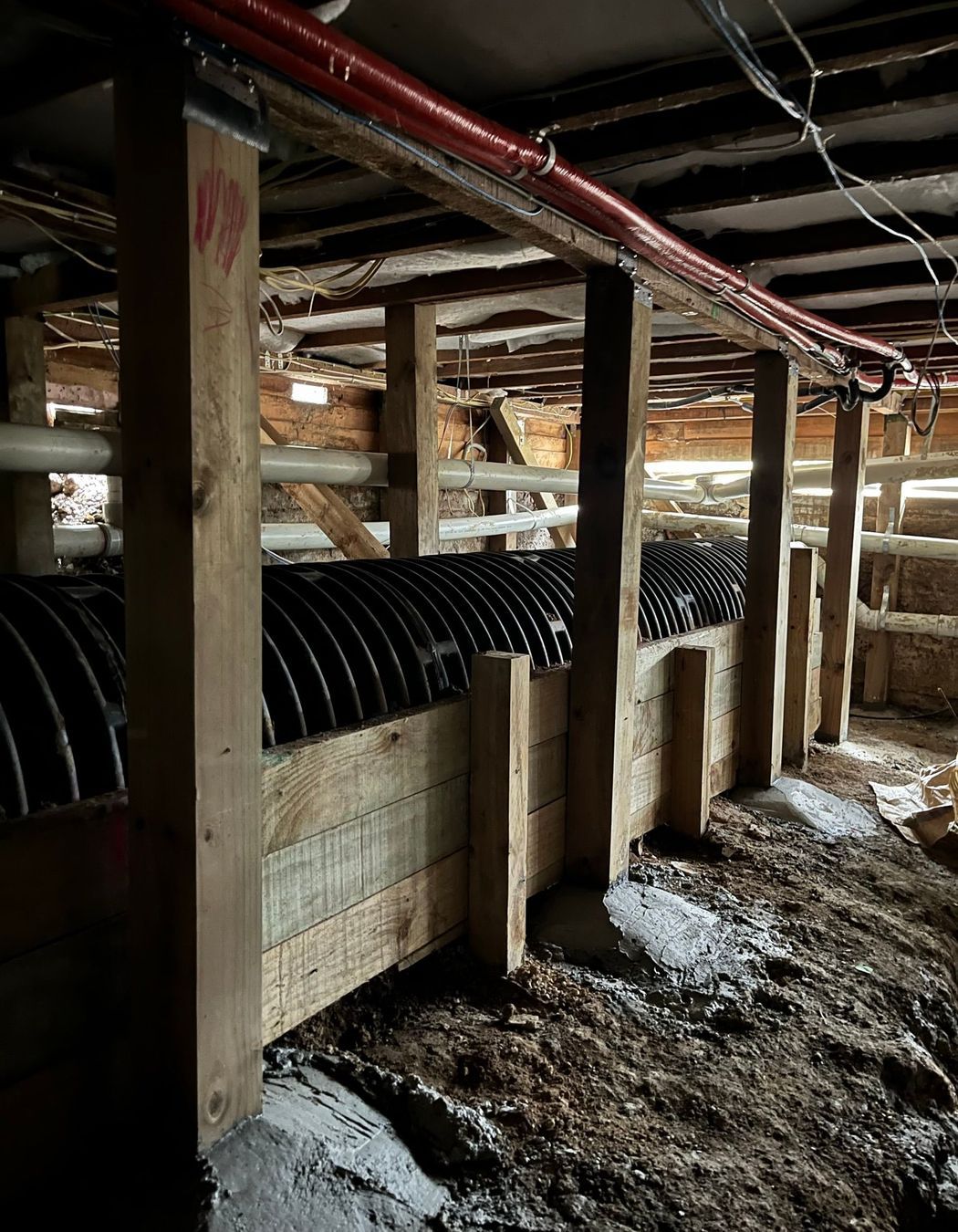 level-house-foundation-Auckland.JPEG