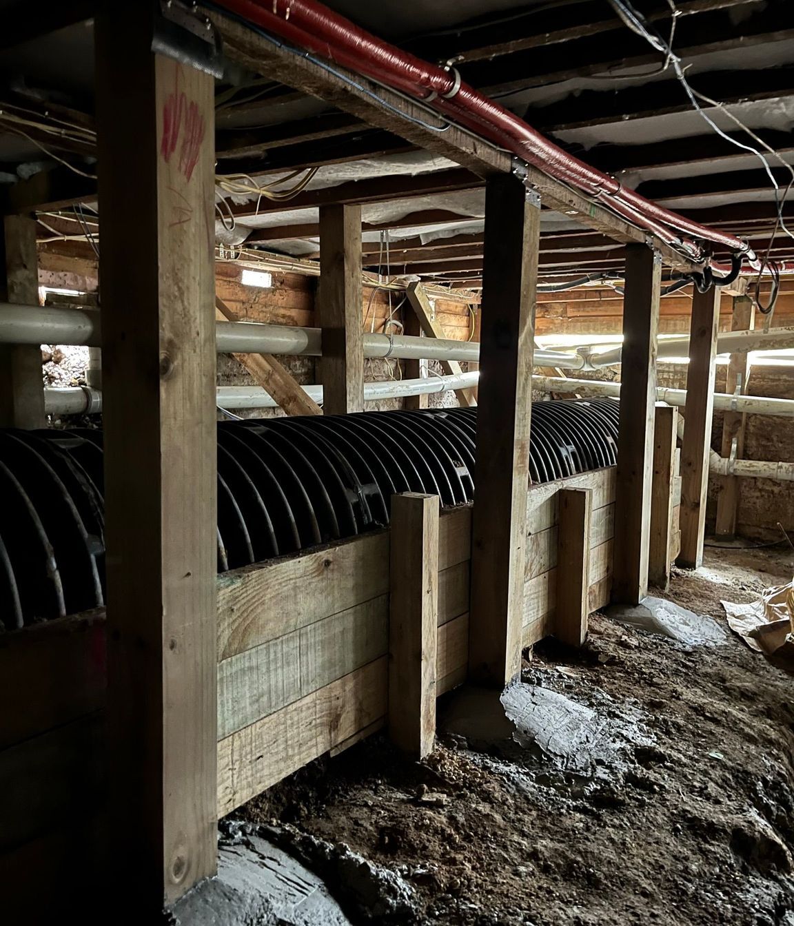 level-house-foundation-Auckland.JPEG