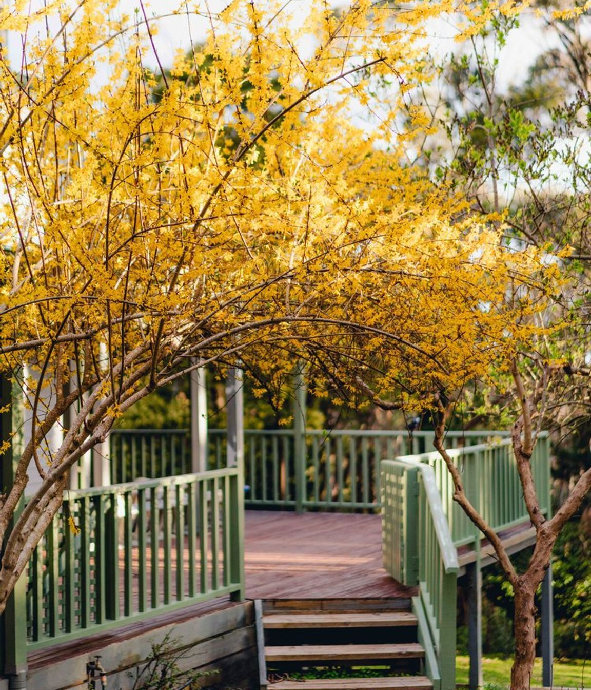 Mt Macedon